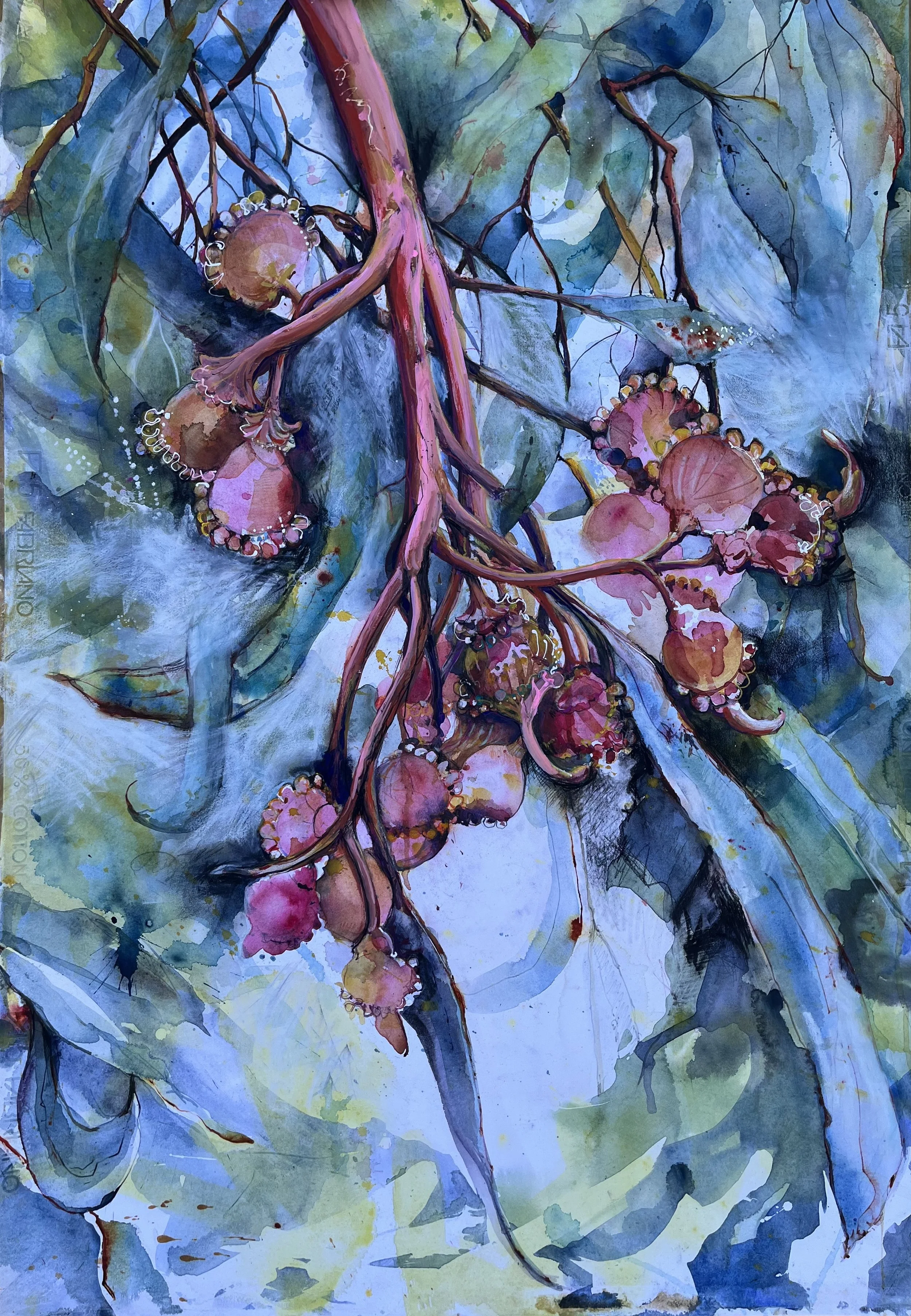 Dalwallinu Street Tree 2