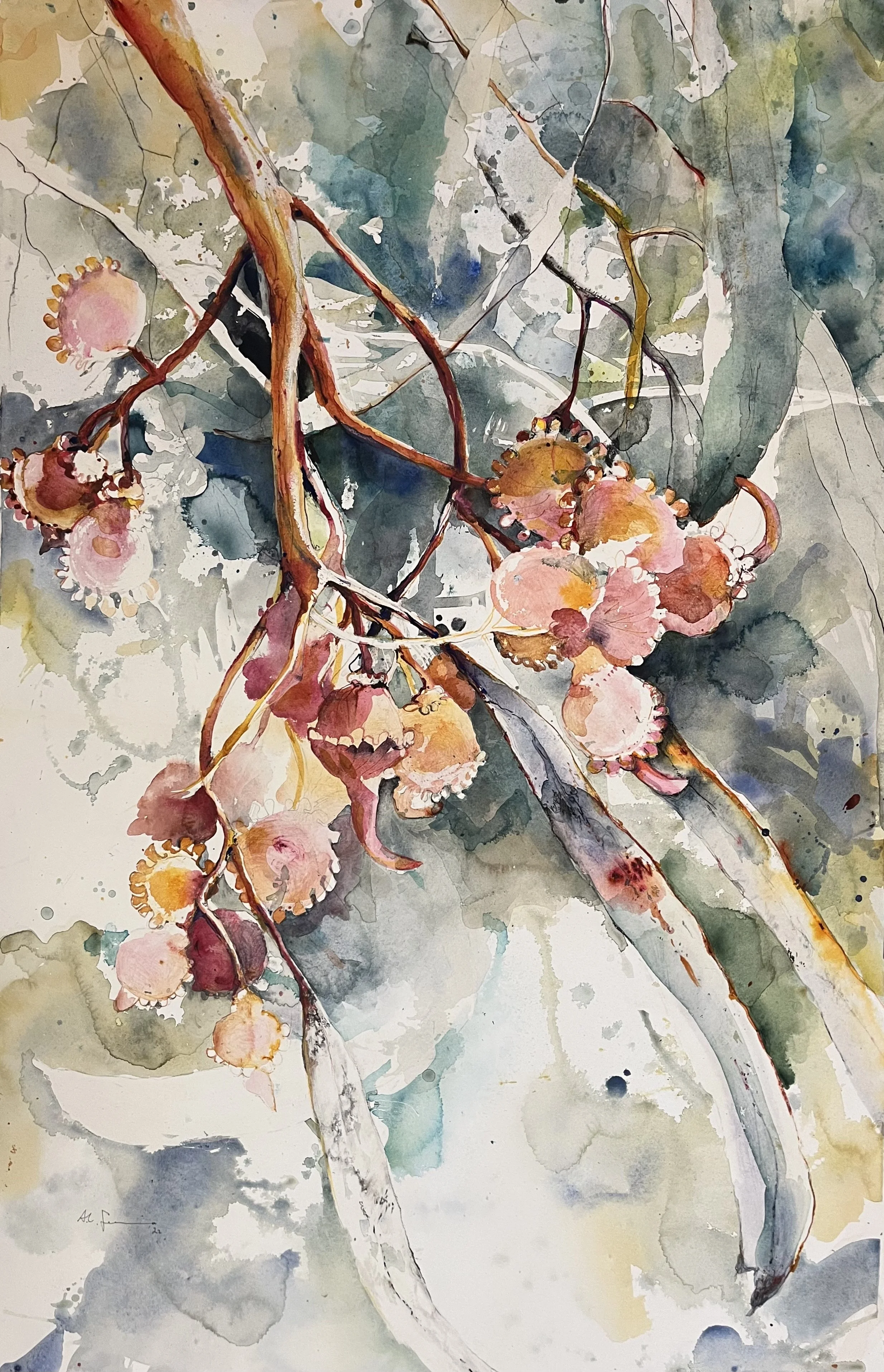 DALWALLINU STREET TREE 1