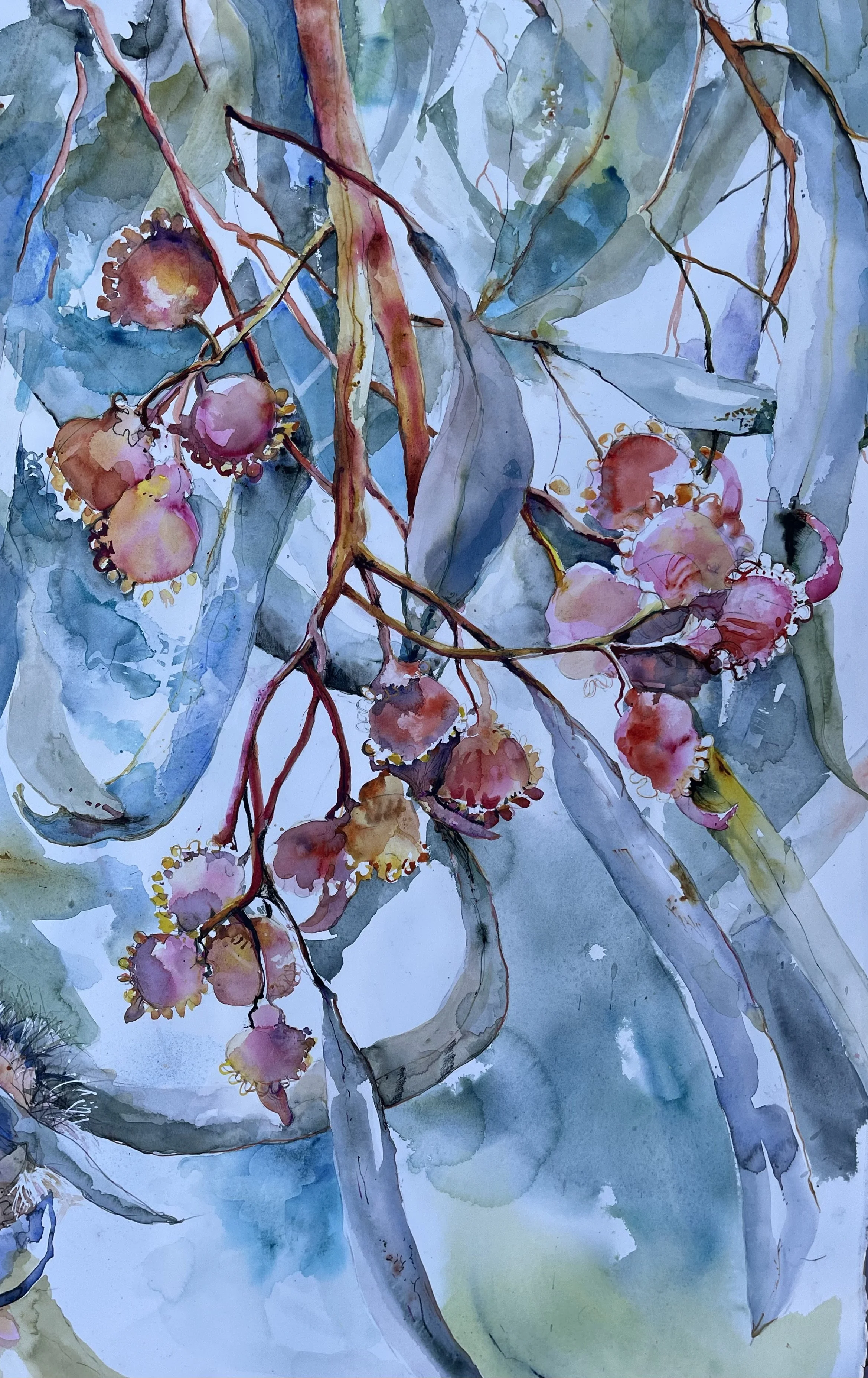 DALWALLINU STREET TREE 3