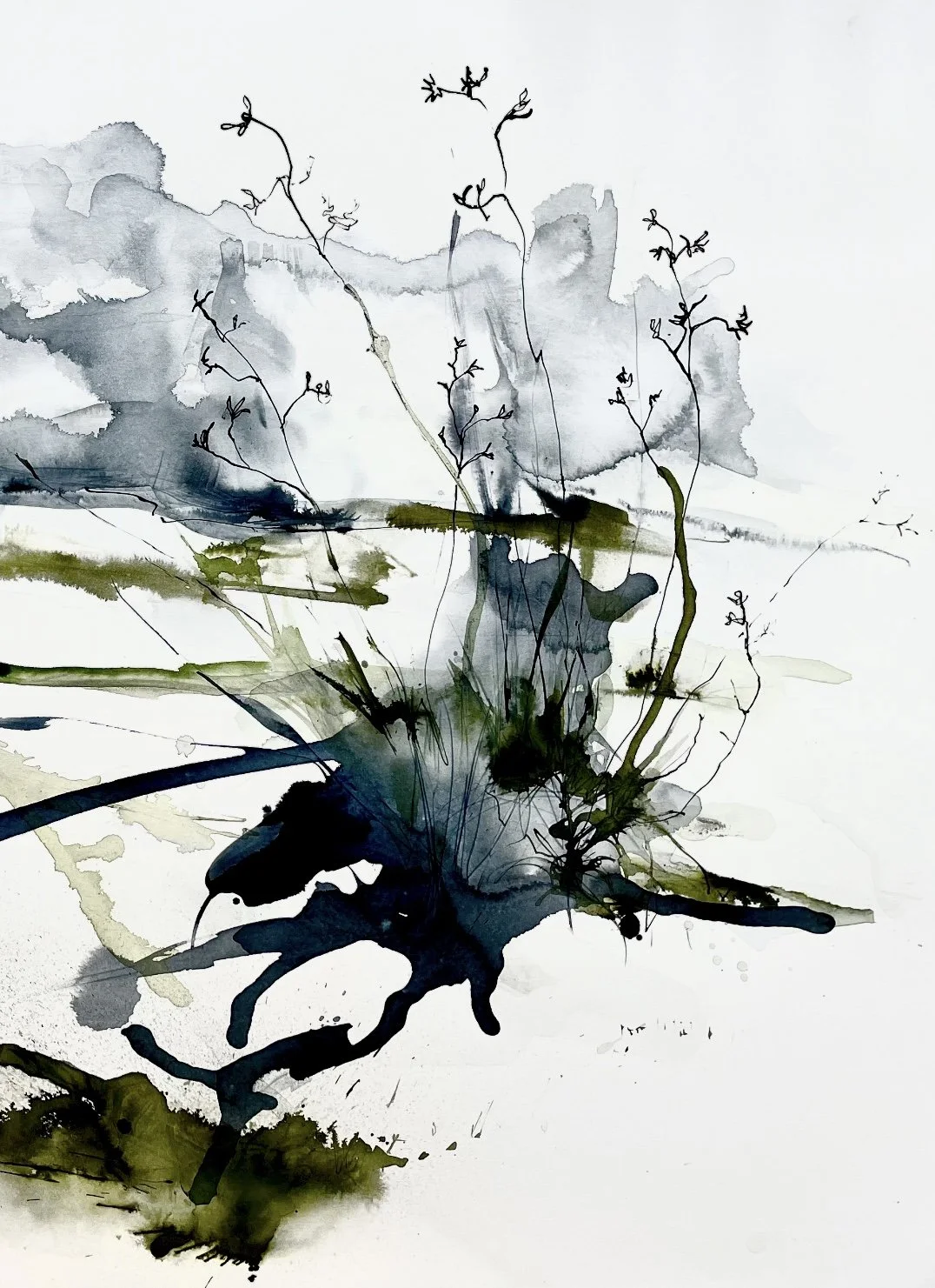 Section of 8 PADDOCKS