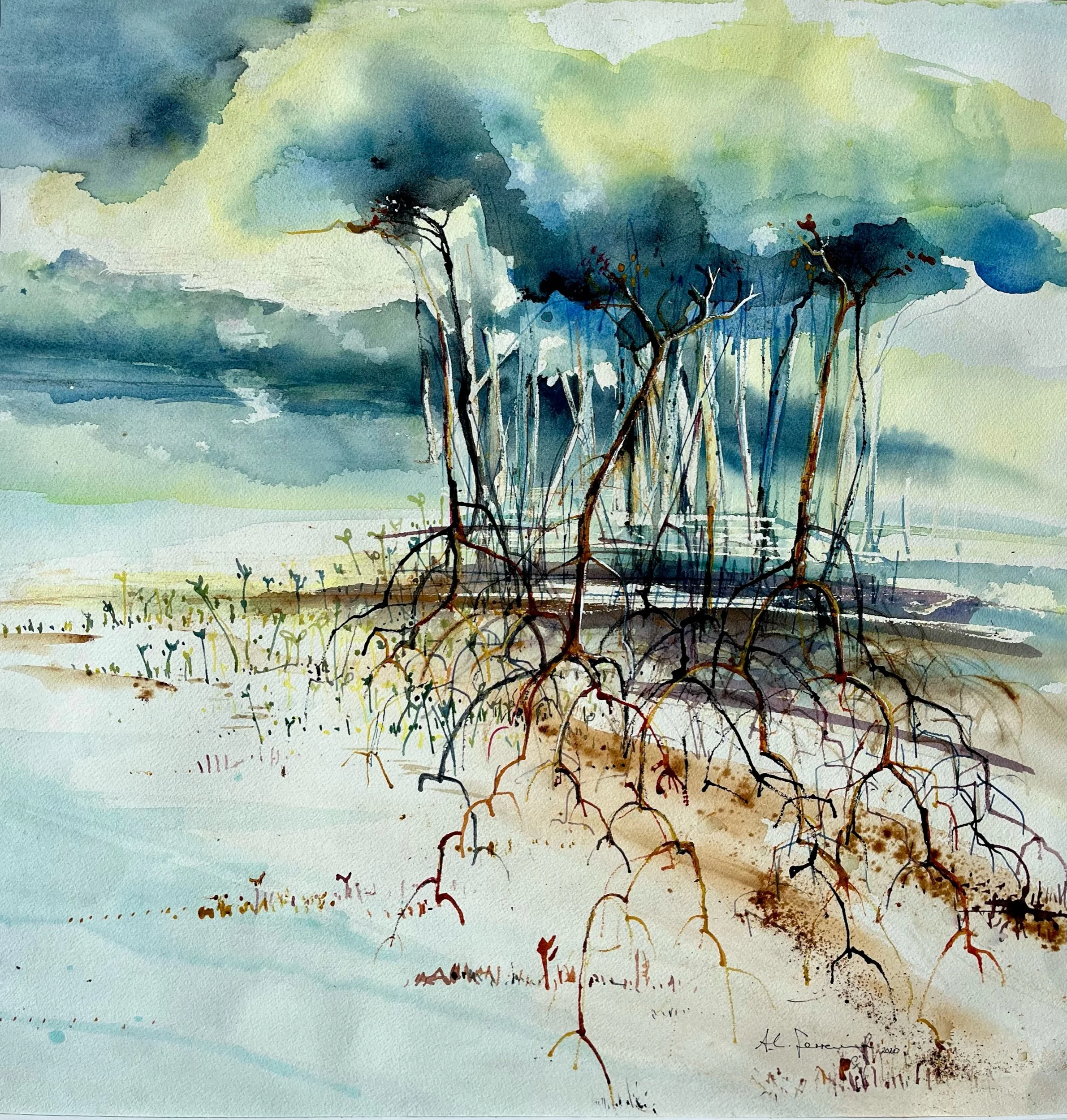 Magnificent Mangroves