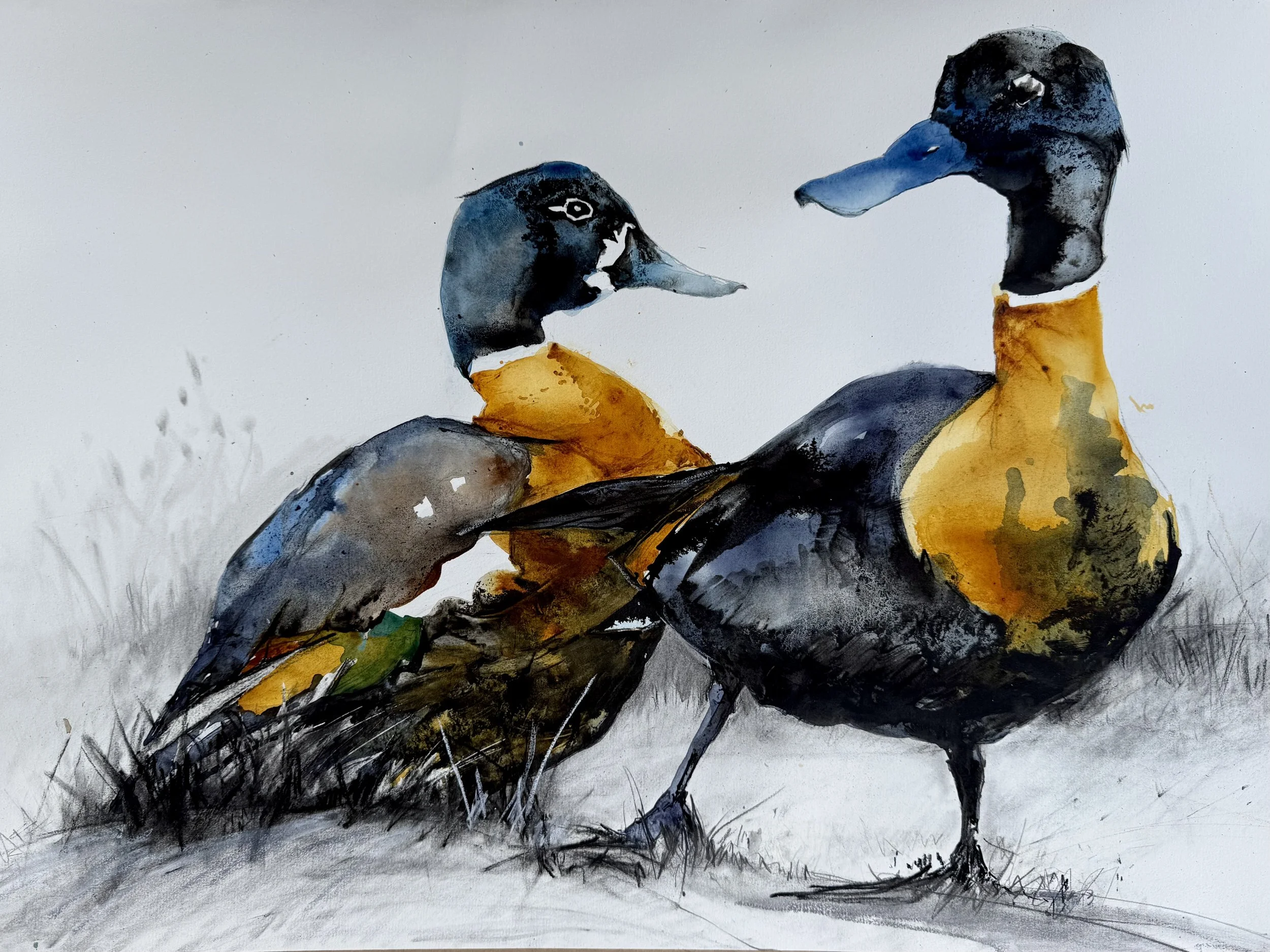 IMG_7593.jpeg