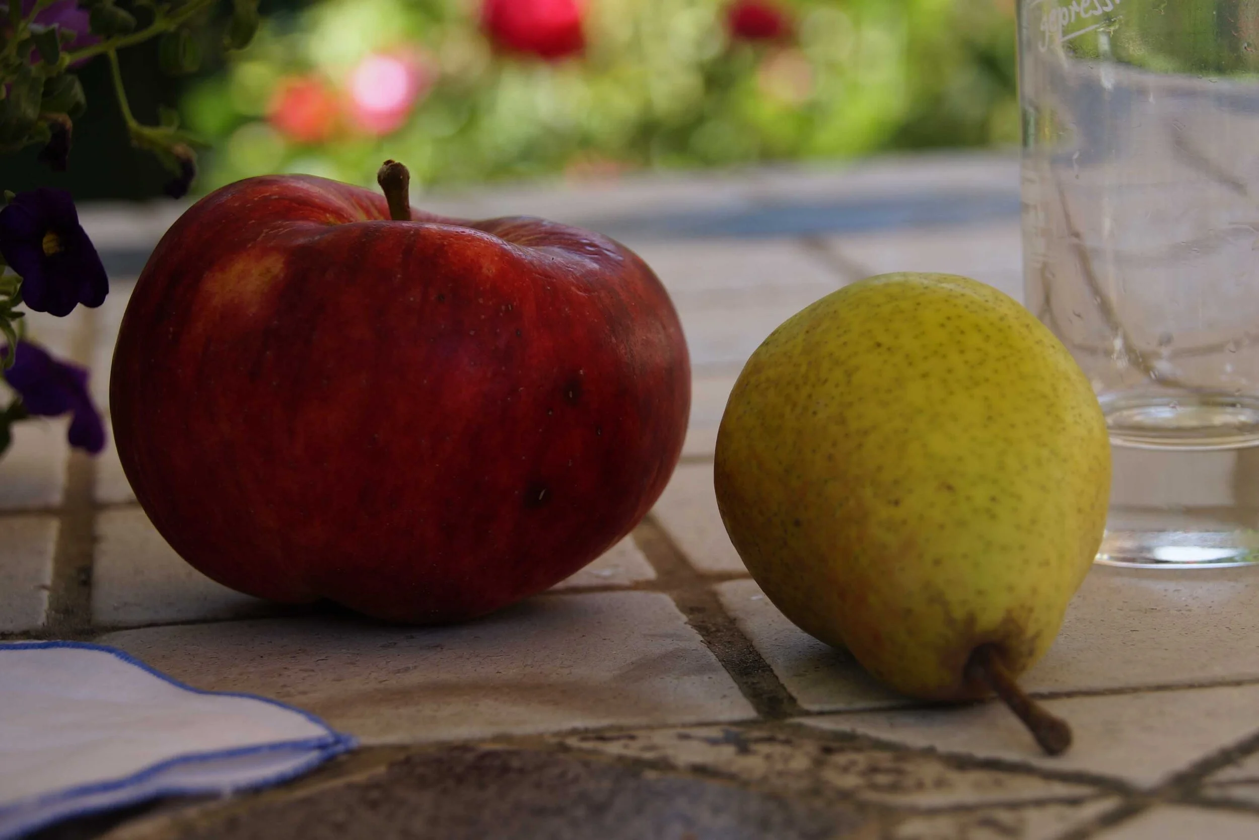 Apfel und Birne.jpg