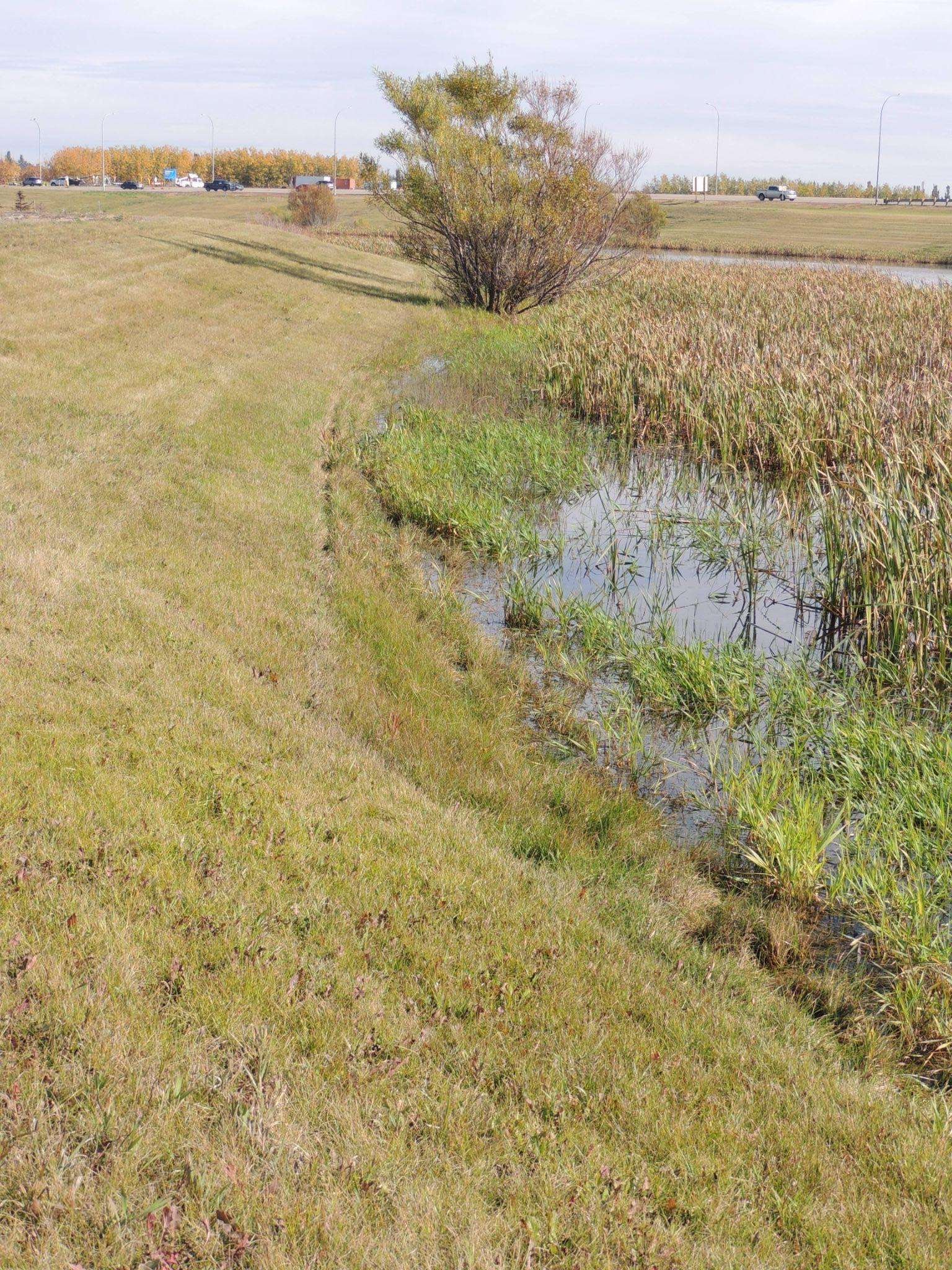 Excessive mowing right to waters edge