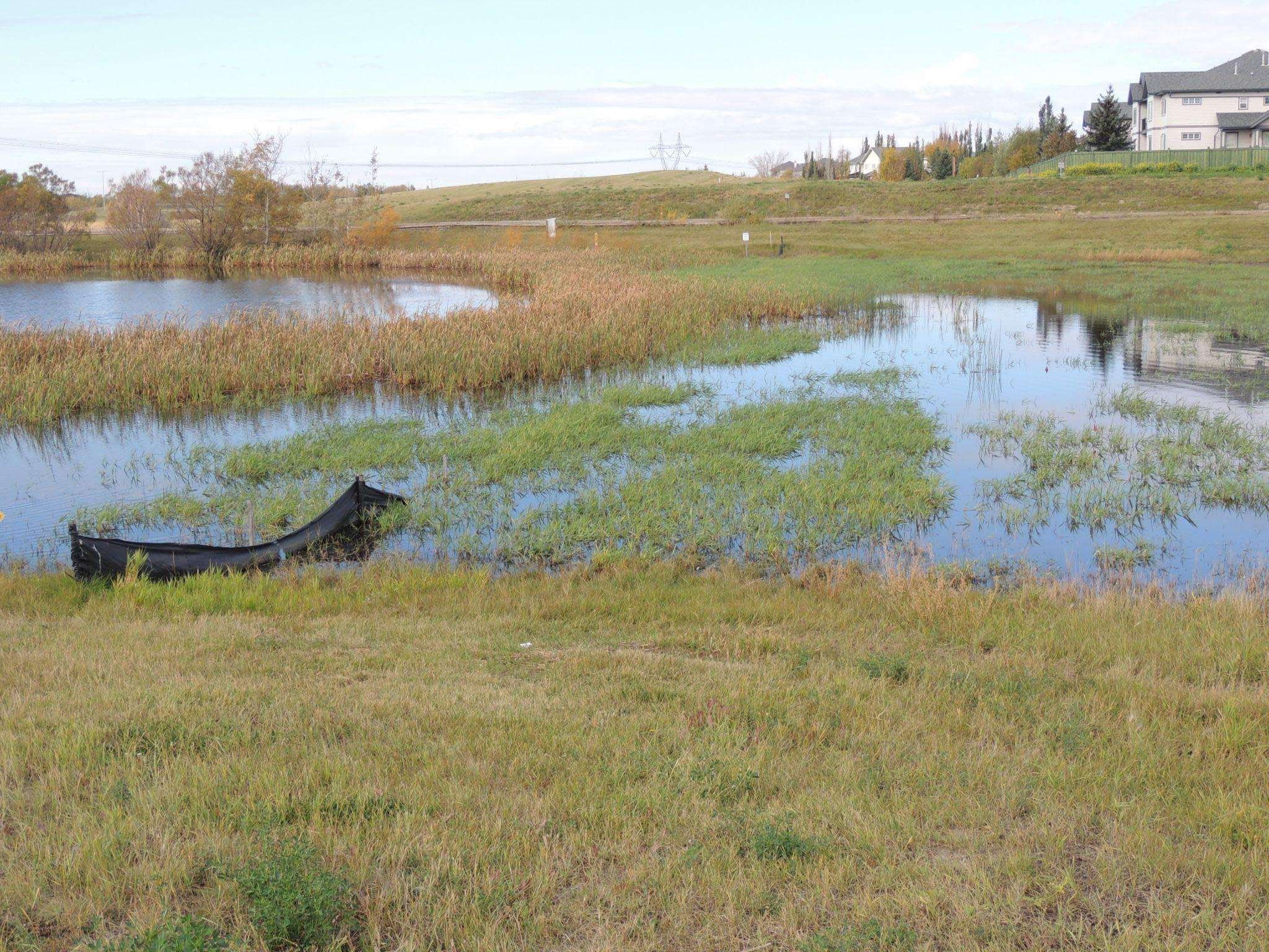 2023 -#2 October - Anthony Henday and Terwillegar Drive Storm Water Ponds.jpg