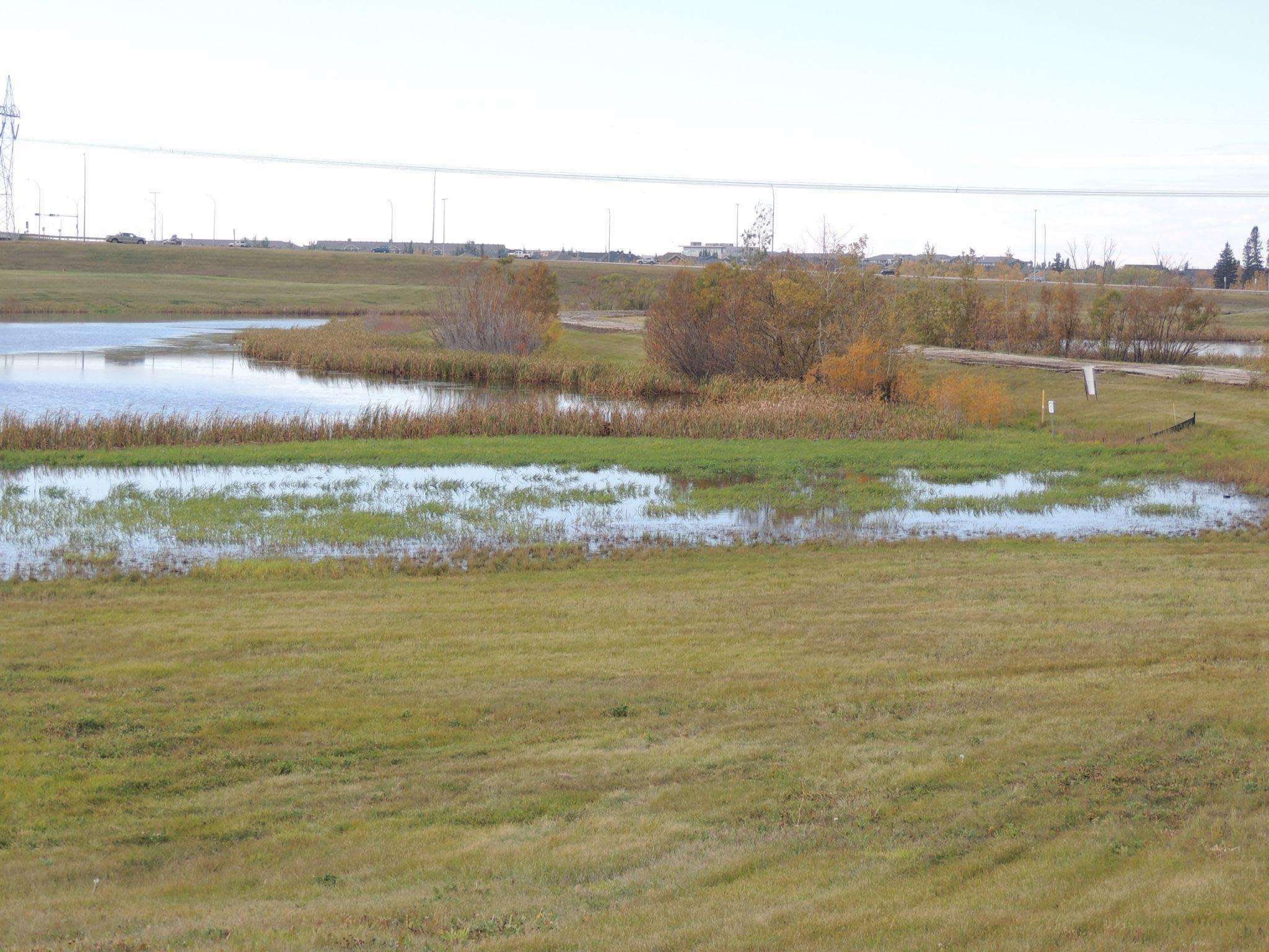 2023 - #3October - Anthony Henday and Terwillegar Drive Storm Water Ponds.jpg
