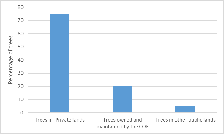 tree data image 1.png