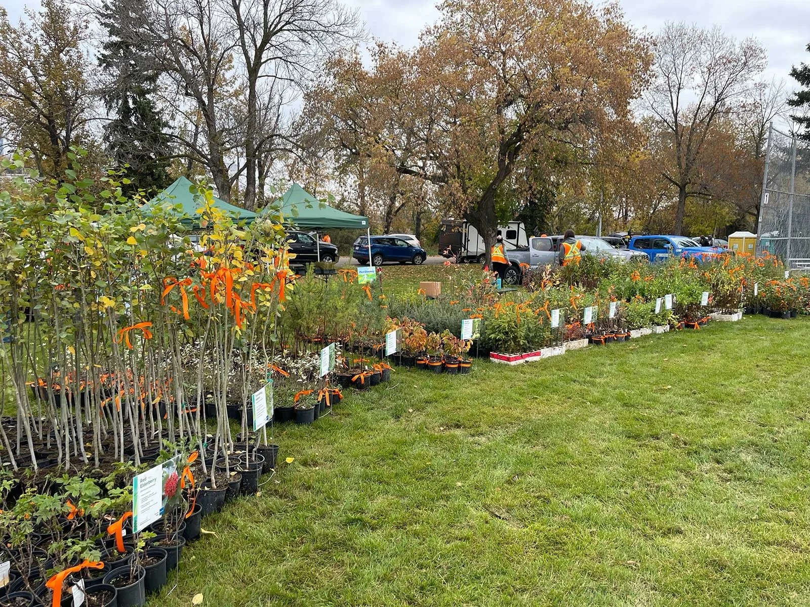 Tree Planting and Celebration next to Kinnaird Ravine