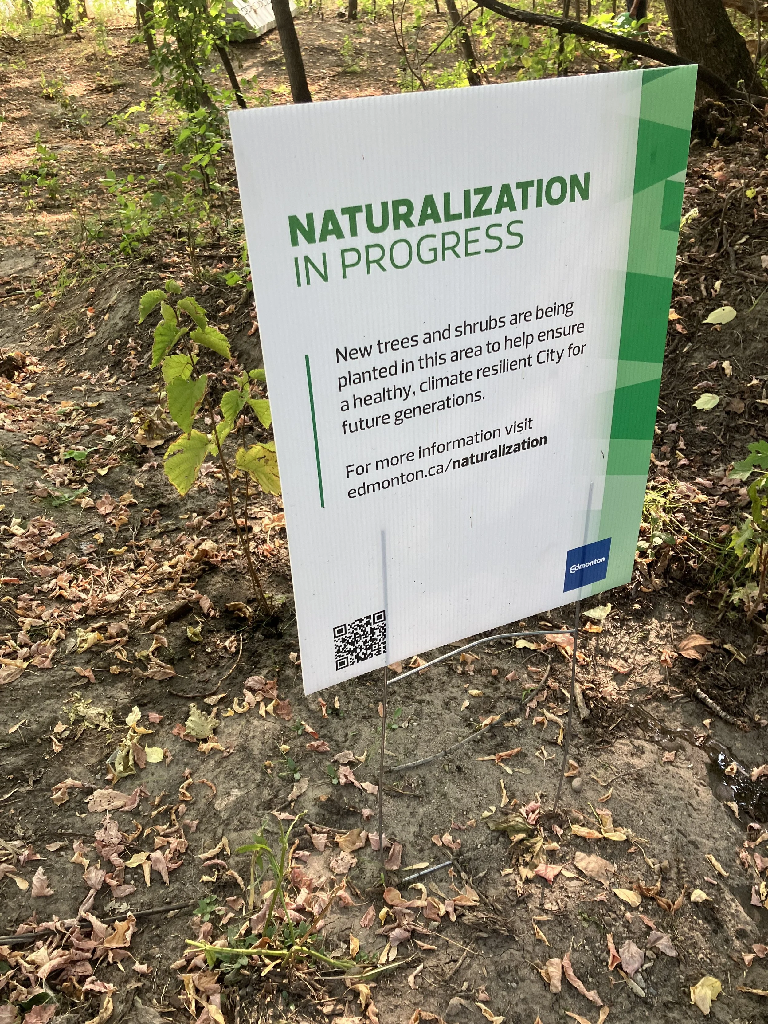 Phase Two Restoration Project