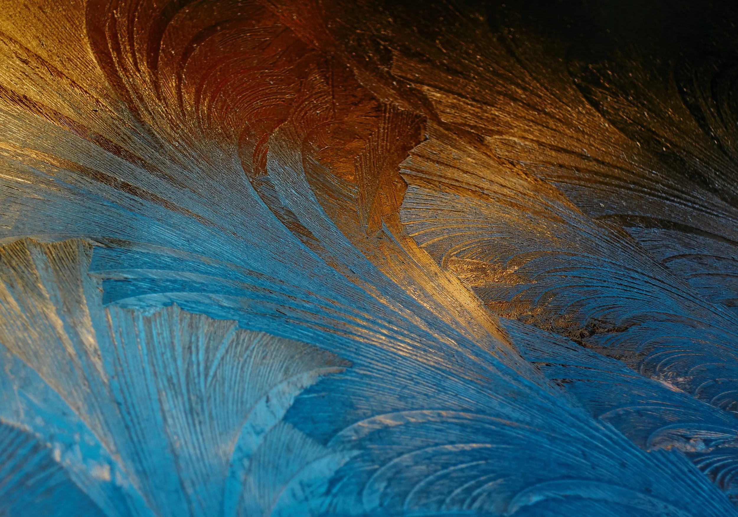 Eileen Website Banner Background.jpeg