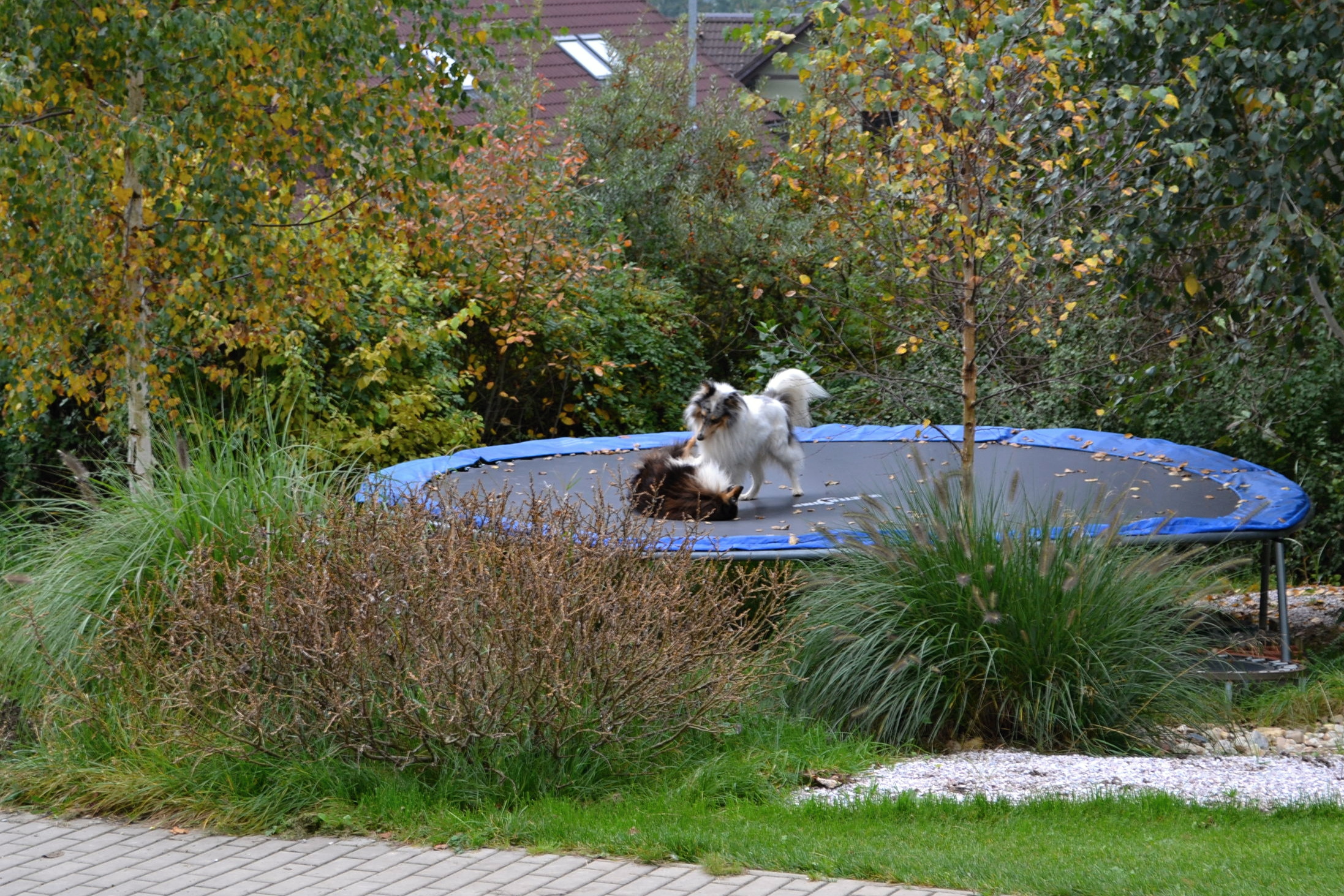 DSC_0998.JPG