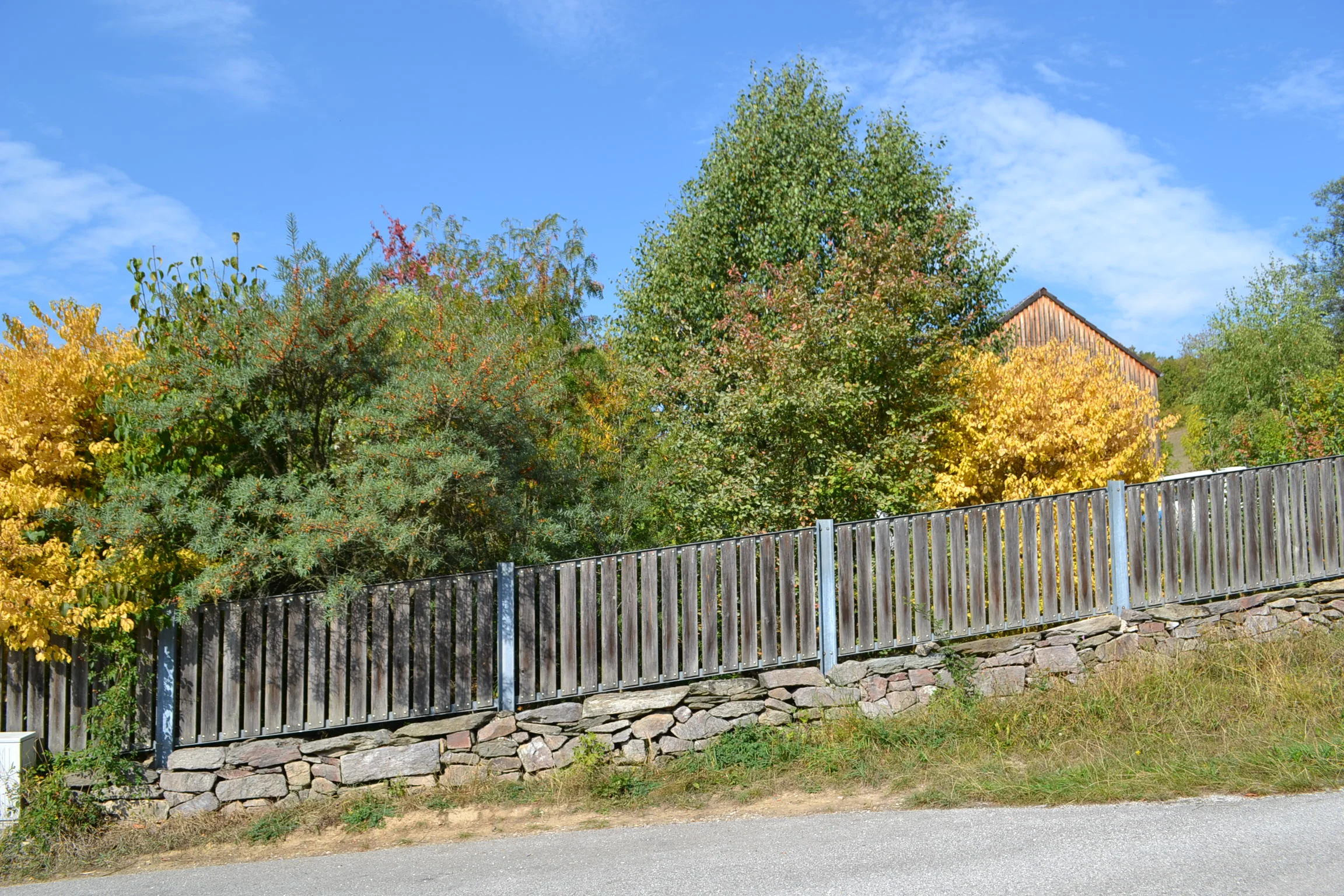 DSC_0067.JPG