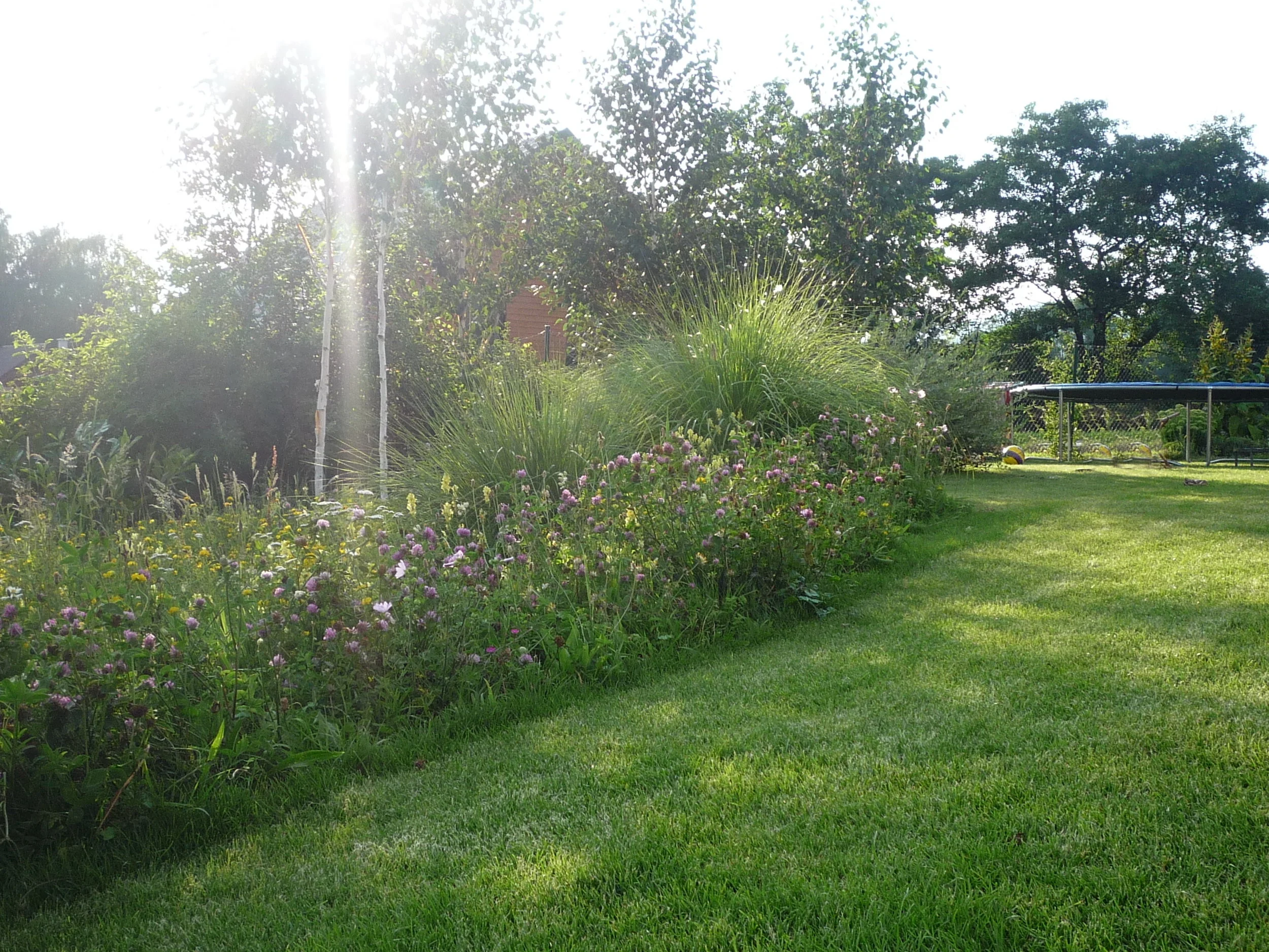 P1030497.JPG