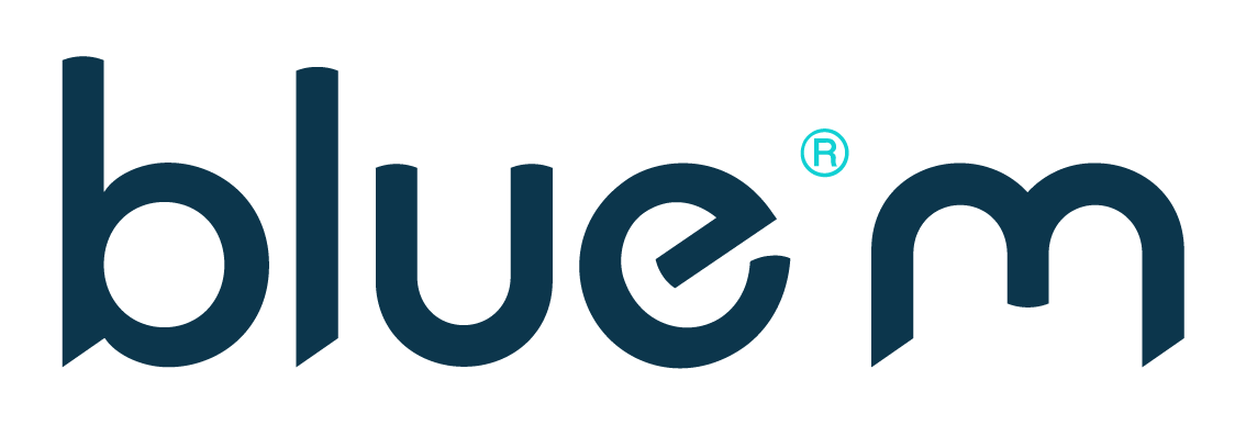 Logo BlueM RGB (1).png