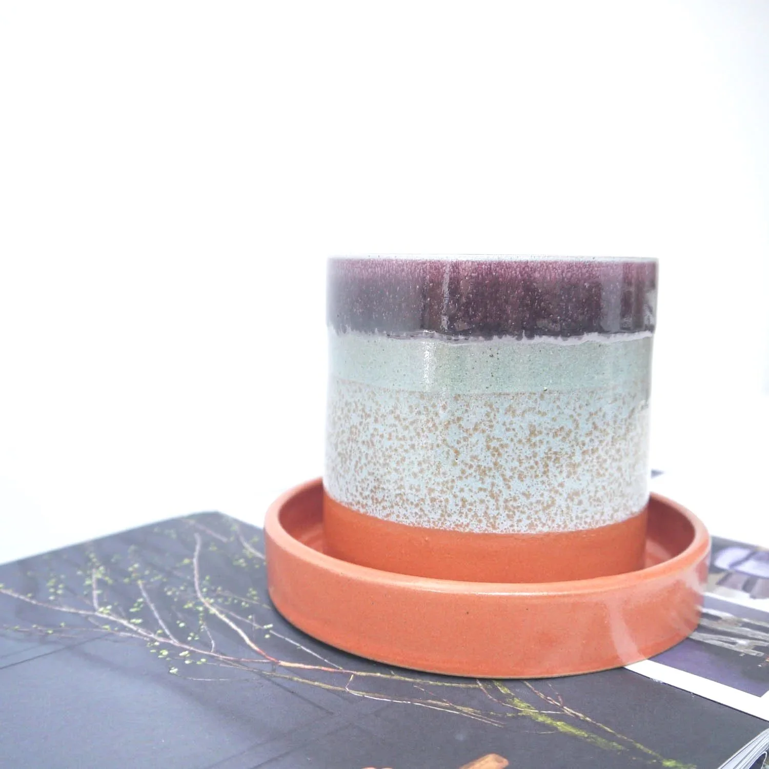 PLANTER-ORGE0-LKODDS-7.jpg