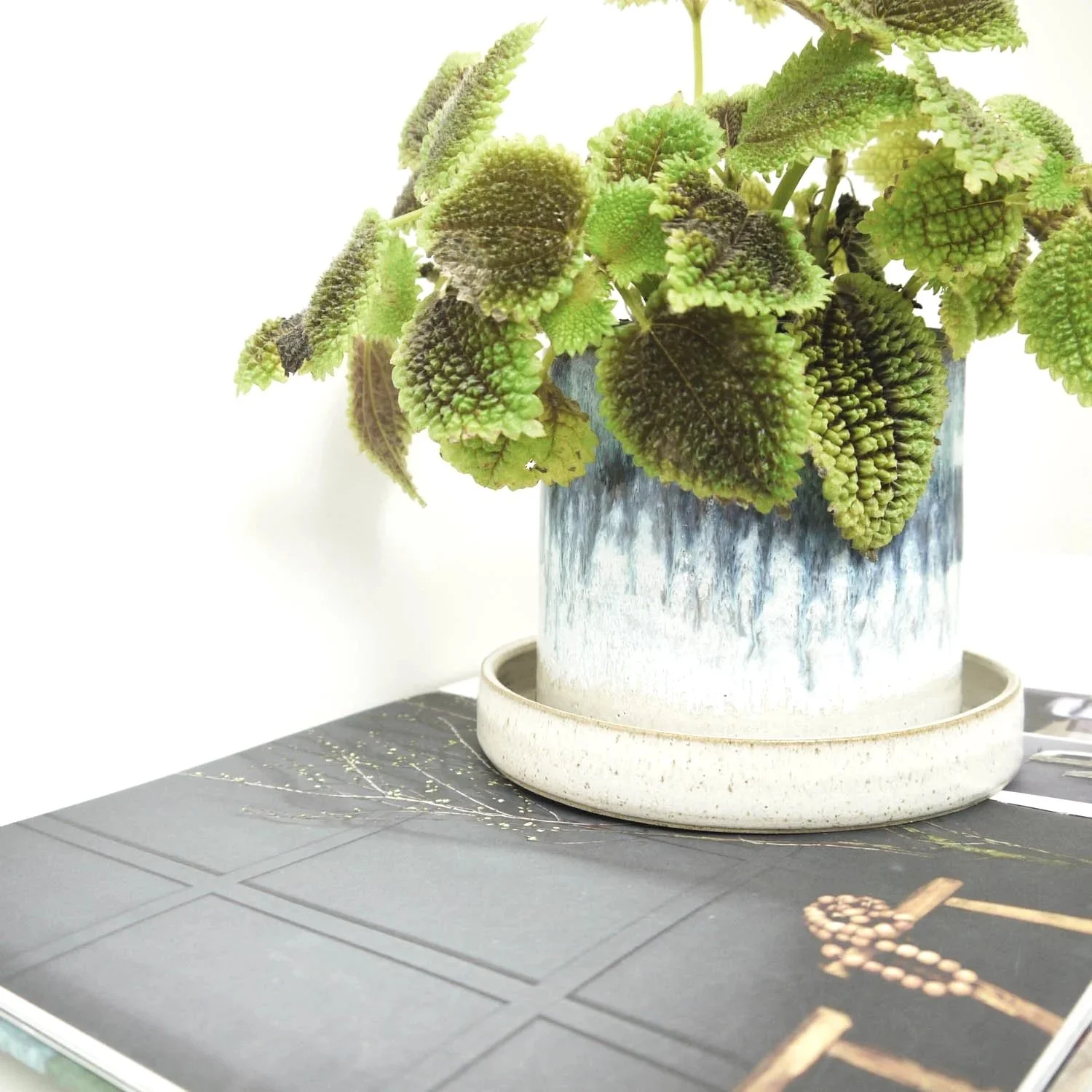 PLANTER-AW-RUT-NDRG-5.jpg