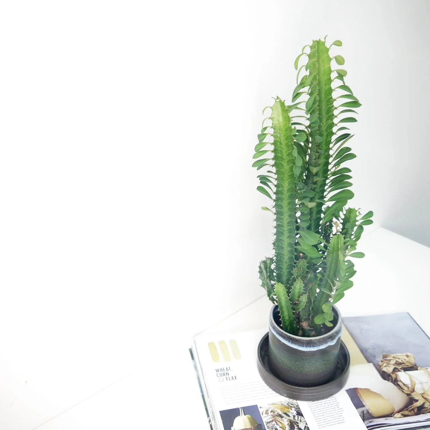 PLANTER-BLACK-1.jpg