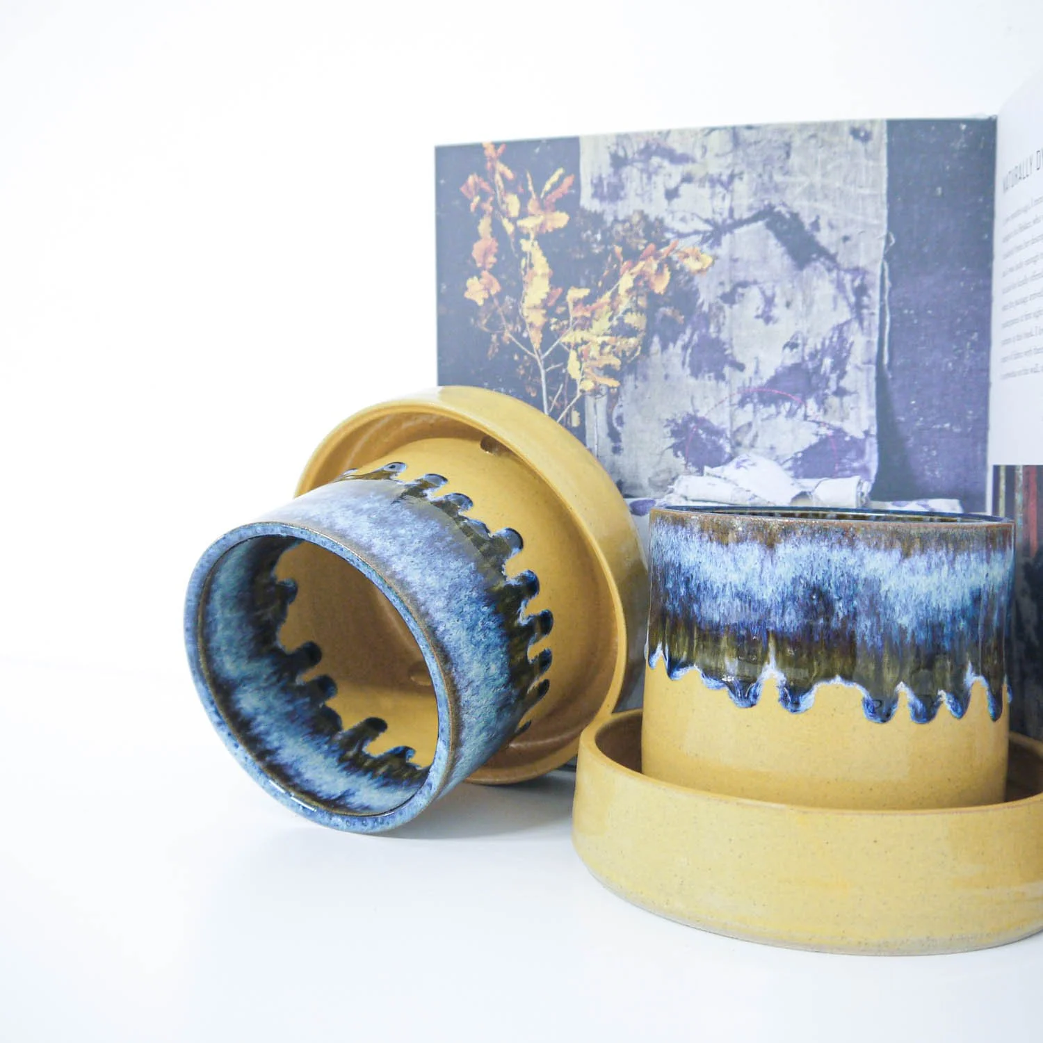 PLANTER SUNRISE VOLCANO