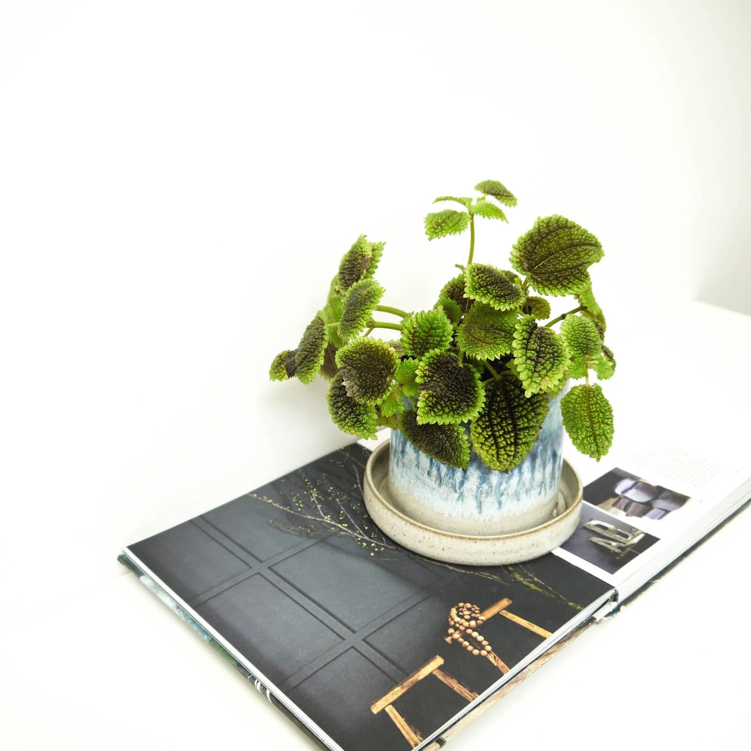 PLANTER-AW-RUT-NDRG-2.jpg