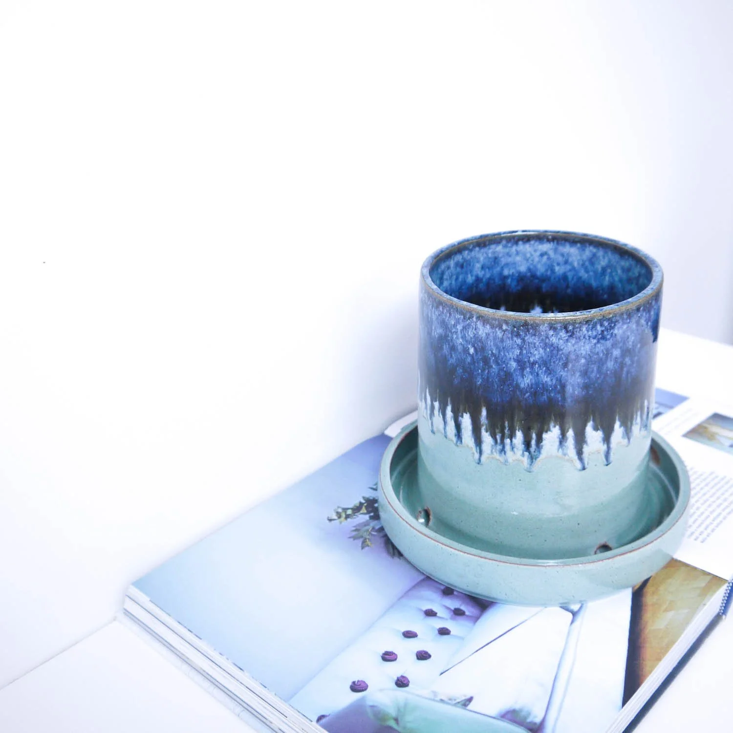 LGE-PLANTER-MINT-VOL-5.jpg