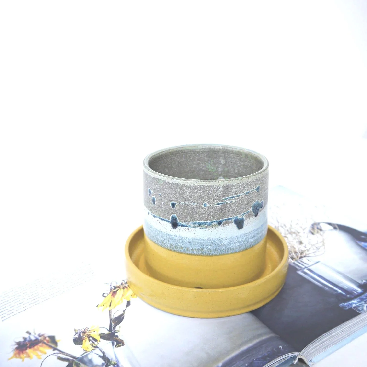 PLANTER-YELLOW-2.jpg