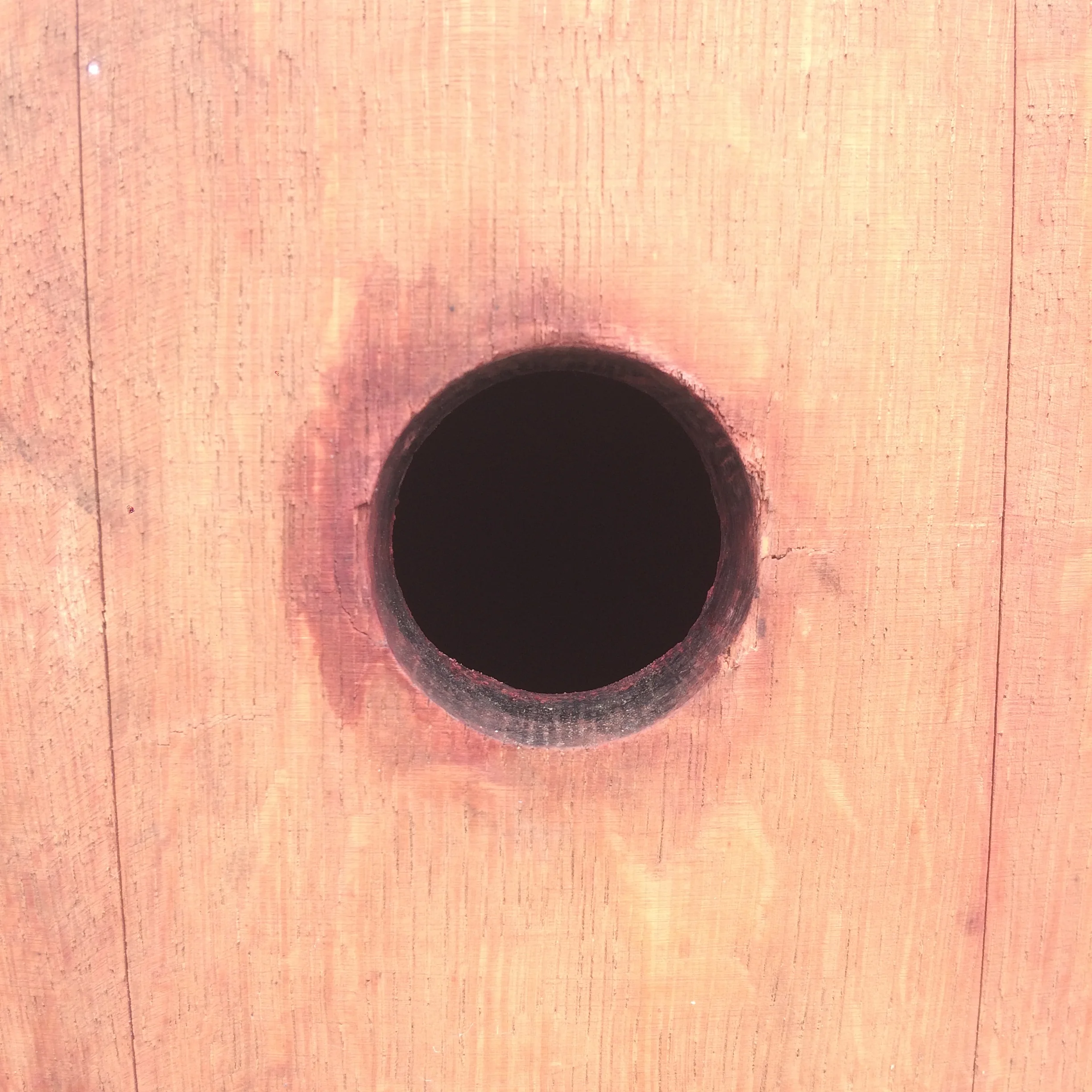 image1.jpeg
