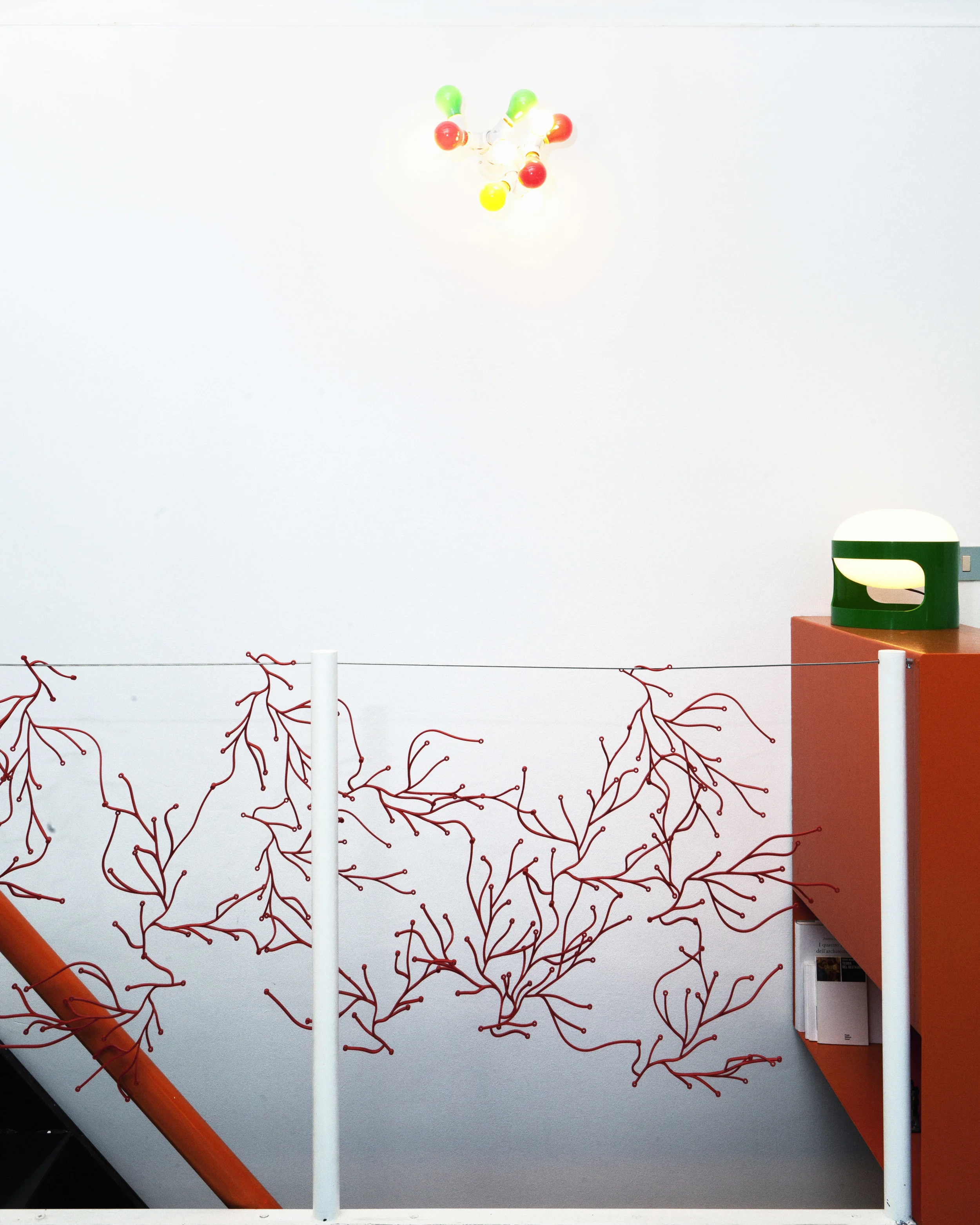 Architect Siracusa.jpg