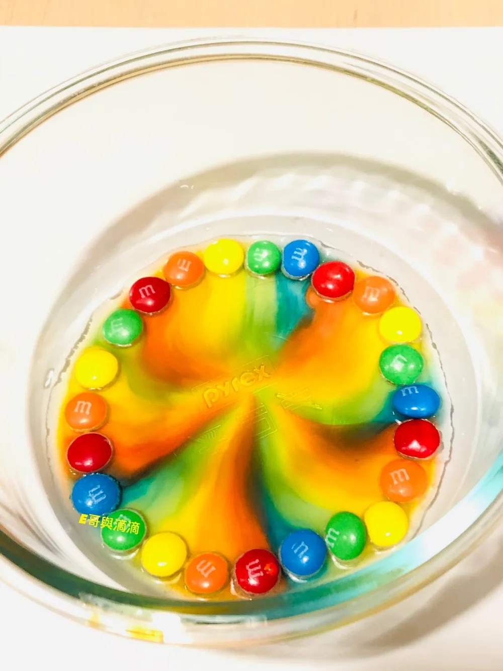 彩虹糖真的有彩虹！E哥帶你玩適合小小孩的科學實驗