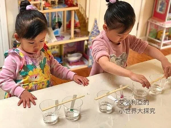 想玩色層分析實驗嗎? 讓艾米利亞的小世界大探索帶你拆解彩色筆裡的顏色 !