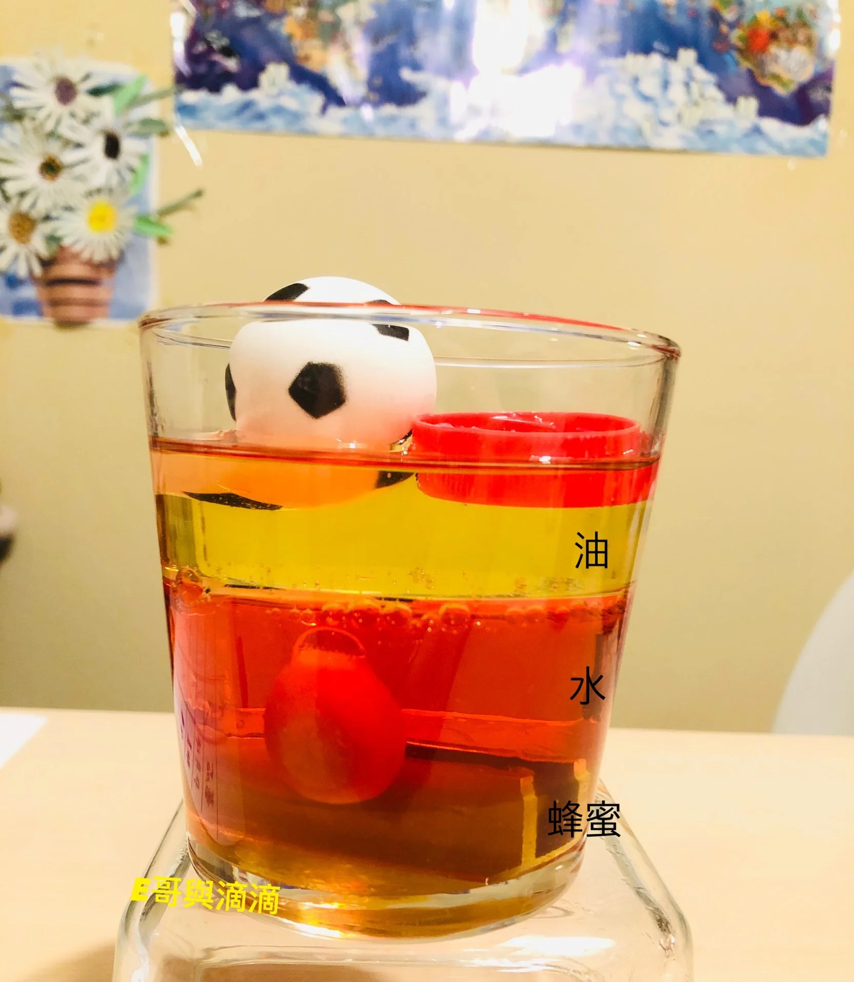 超簡單幼兒科學!E哥帶你發現密度與浮力