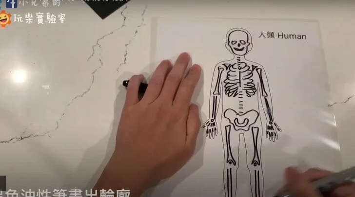 【遊戲圖檔】X光人體骨骼水彩畫