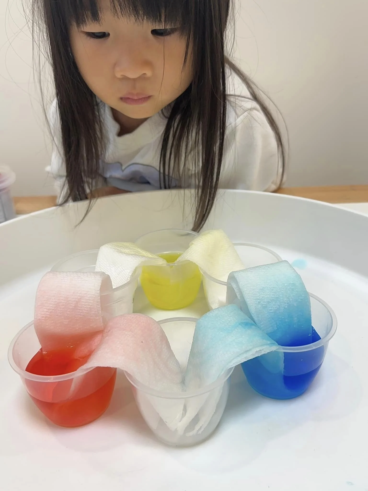 毛細現象是什麼 ? 5 個超簡單的幼兒手作、STEAM實驗遊戲教你玩!【2025年版】