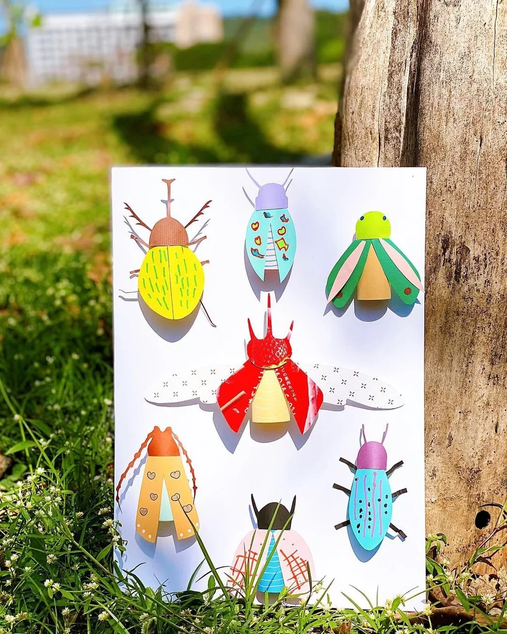 帶著小朋友觀察昆蟲特徵 跟著panya一起認識昆蟲身上的對稱 做昆蟲美勞