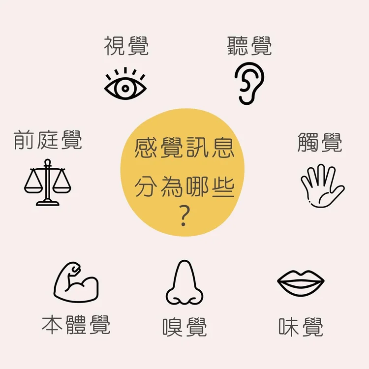 【專家文】認識本體覺與前庭覺