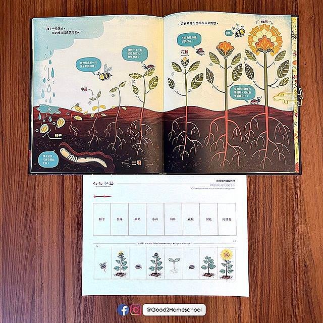 帶小朋友認識植物是怎麼開花的 跟著好好私塾讀 花的祕密 玩摺紙玫瑰 免費下載