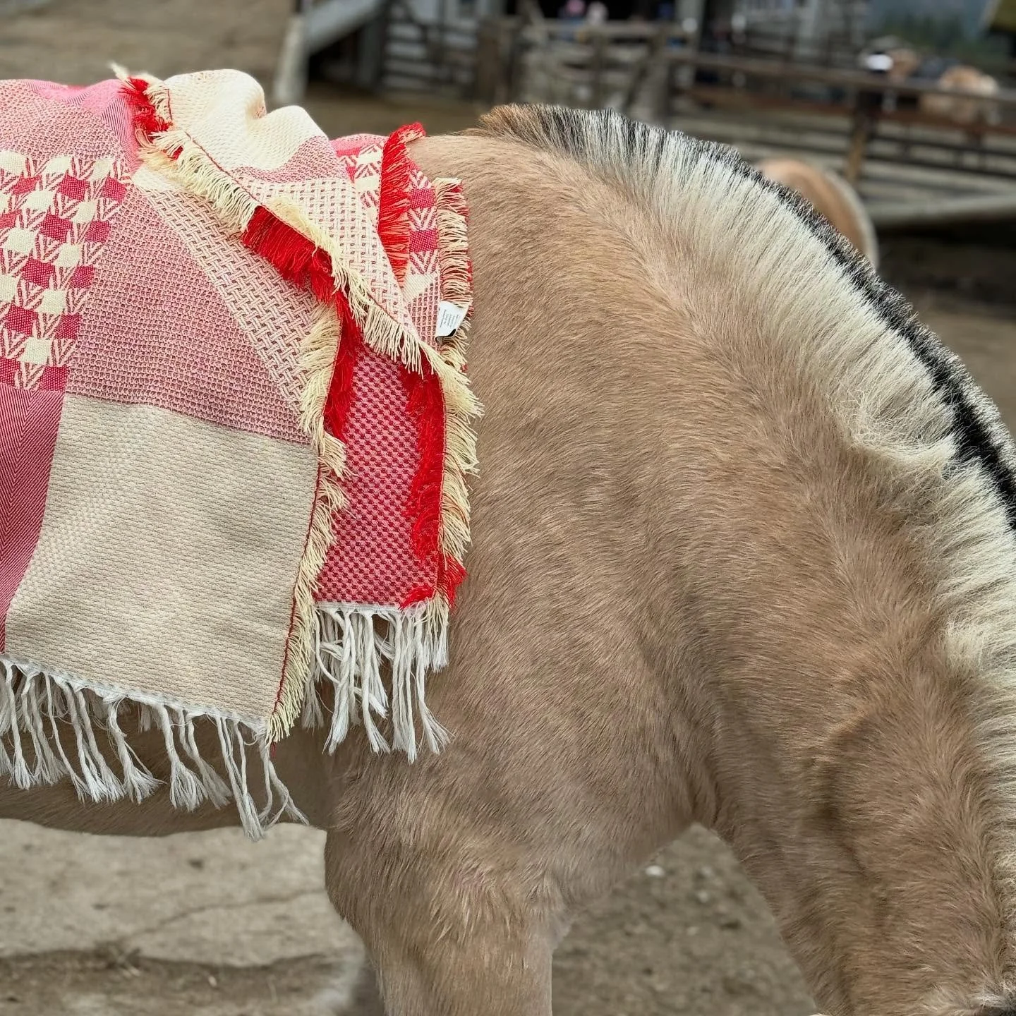 I brought the patchwork throw on my autum holiday to Langedrag with horseback riding and dog ride ☺️

Nice and warm up in the cold mountains. 
Woven at @grinakervev in Norway 🇳🇴
100% soft merino wool🐑