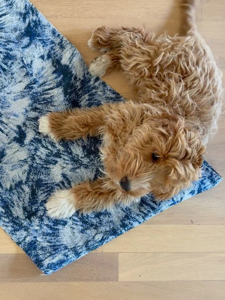 Helping hand from today&rsquo;s sample cutting. Bosse the dog got taste for quality - wool woven in Norway at @innvik_as 👌
Let me know if you or your agency need samples 🤗
You can have a closer look at @riisagentur where all Plesner Patterns wool t