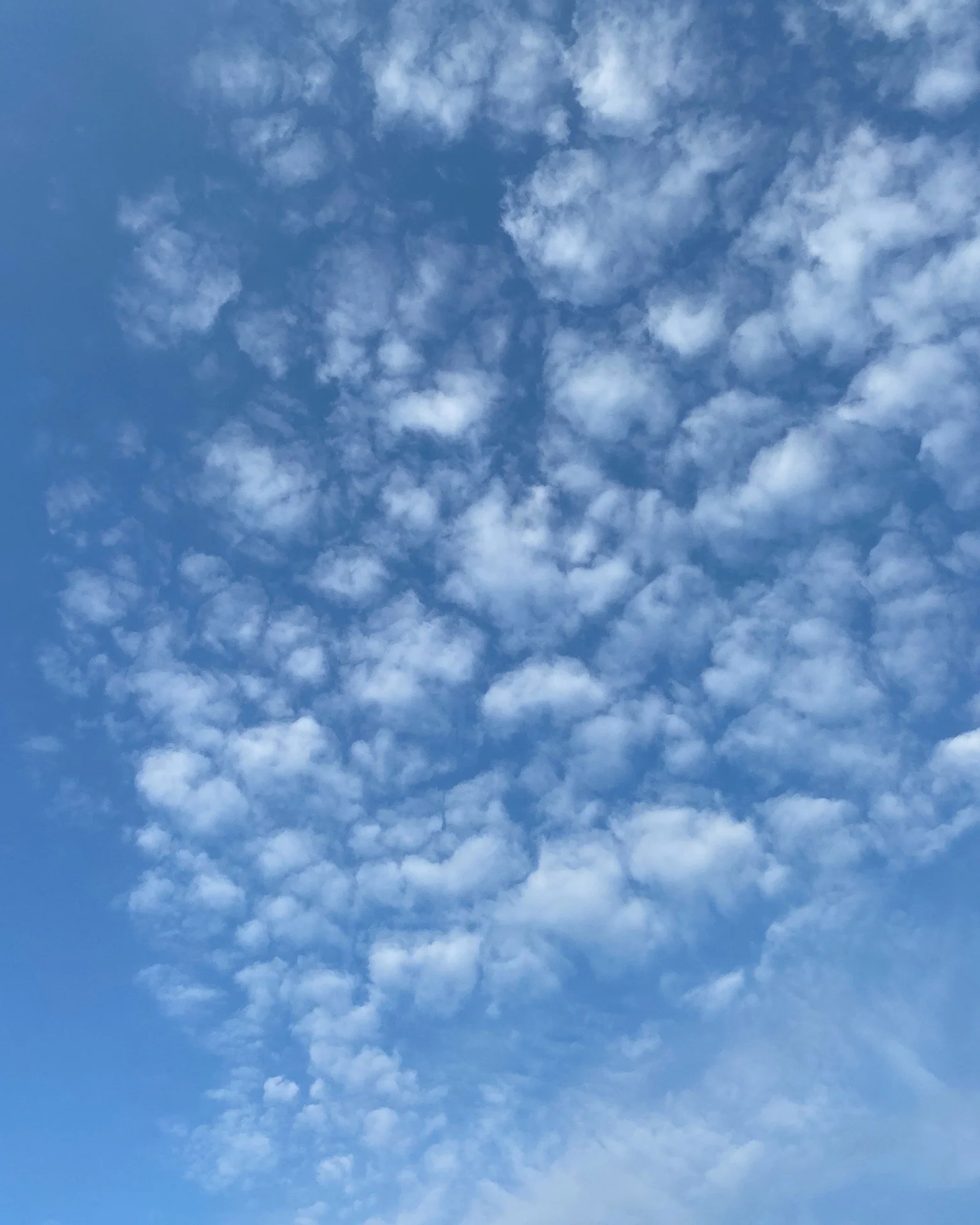 Look for the patterns around you.
 
They are everywhere, in clouds drifting across the sky, in the repetition of petals on a flower, and in the way grass moves gently in the breeze. There are patterns in the shifting light on a wall, the veins of a l