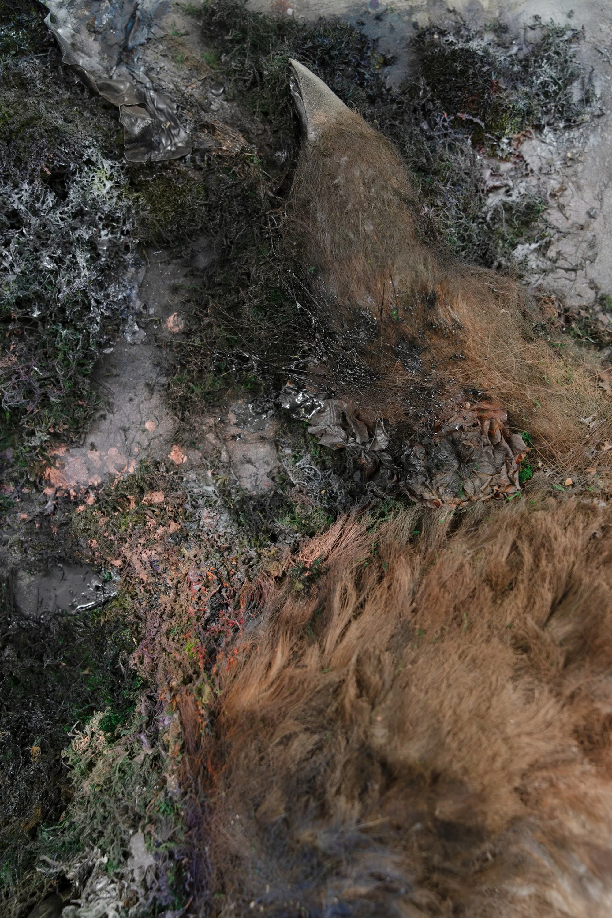 detail_2_2x3.jpg