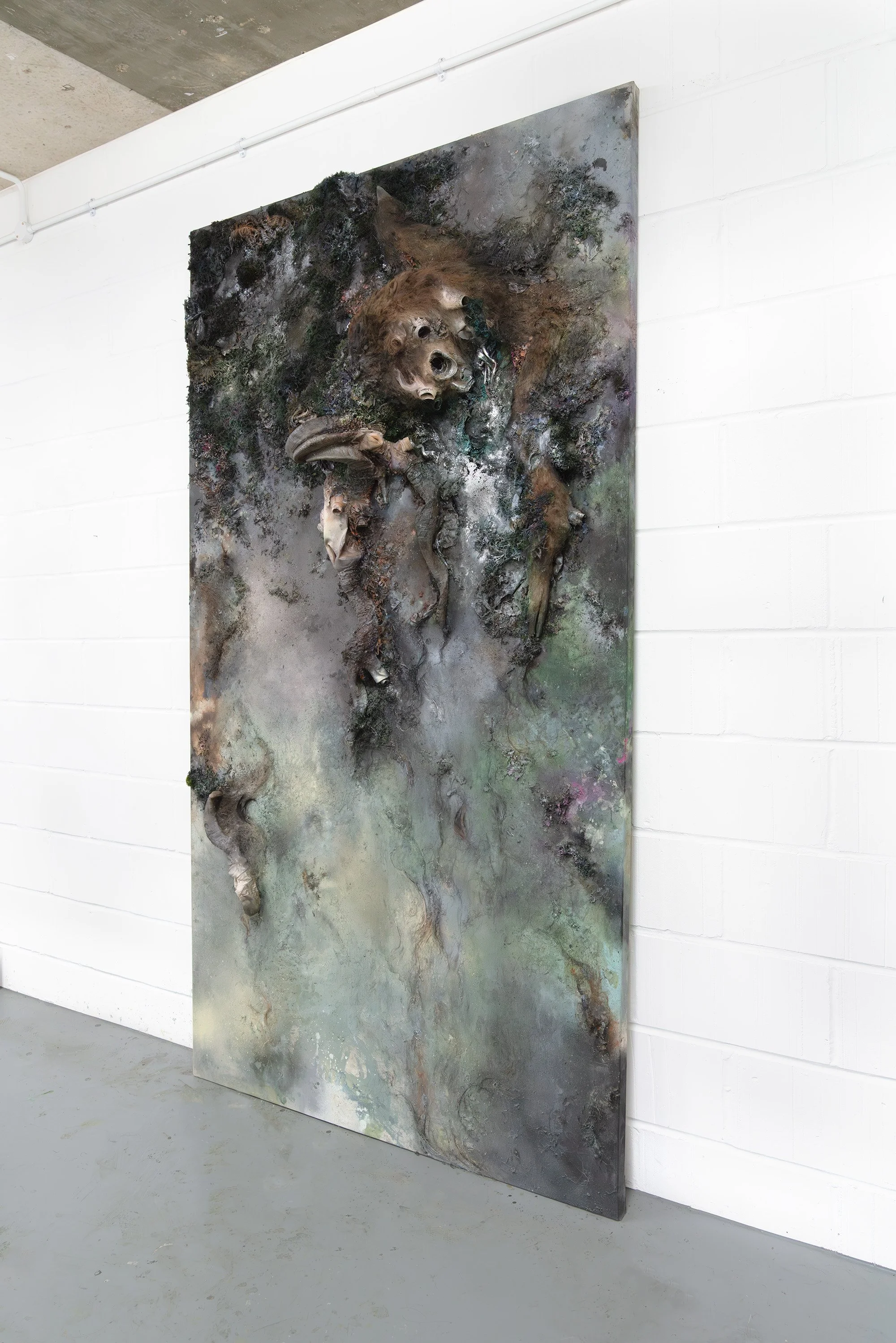 Mixed media artwork with organic textures, fur and earthy materials