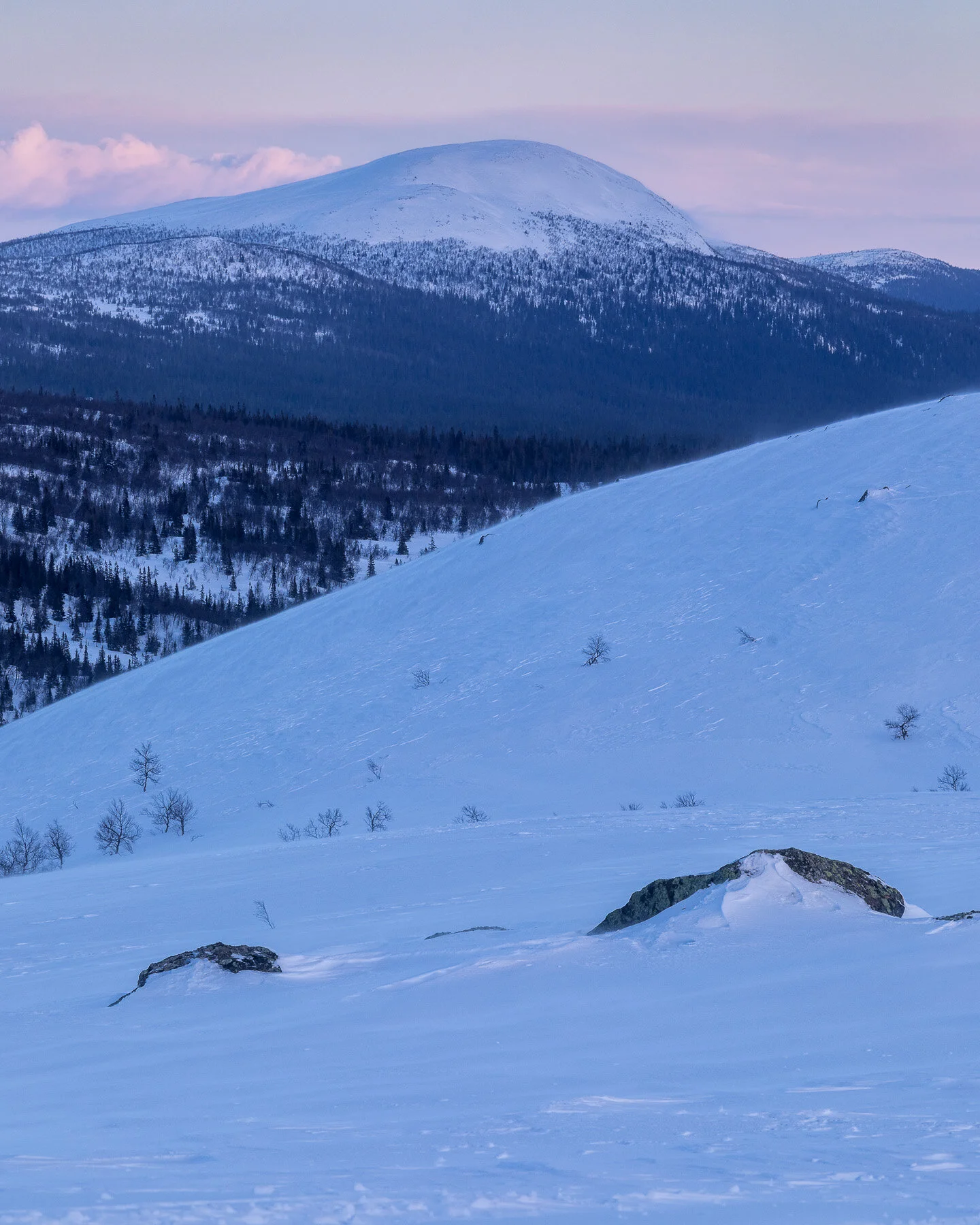 Sweden, Borgafjäll