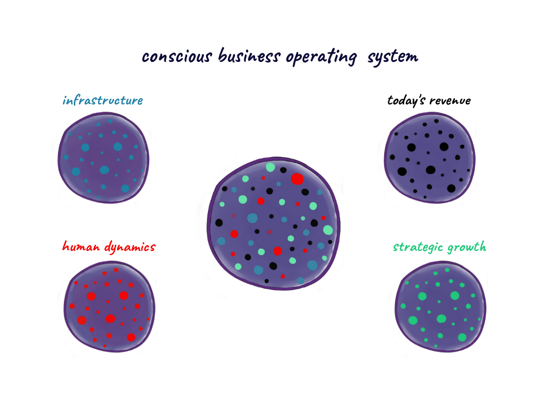Conscious Business Operating System.png