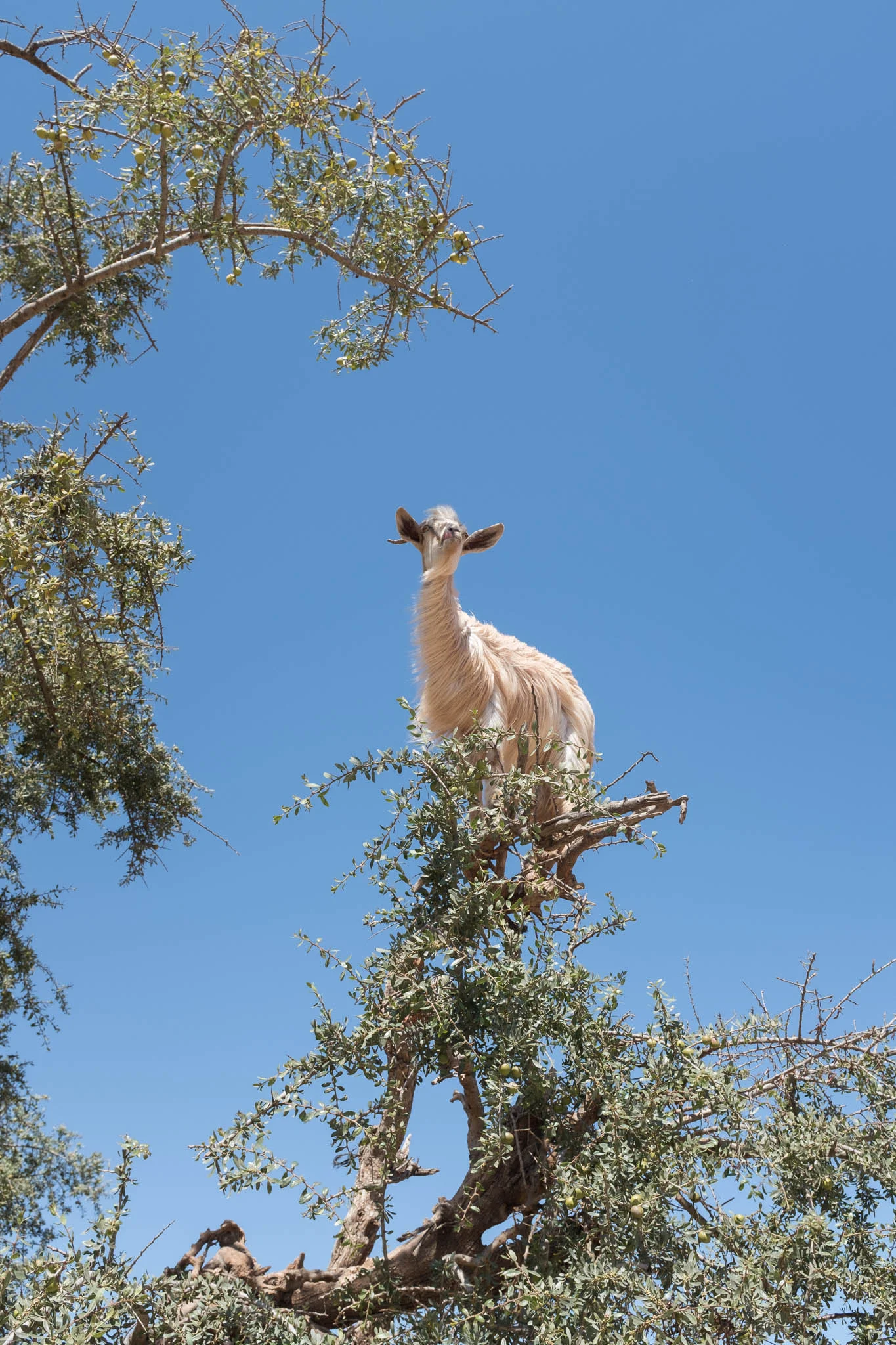 morocco_lillymoerz_04.jpg