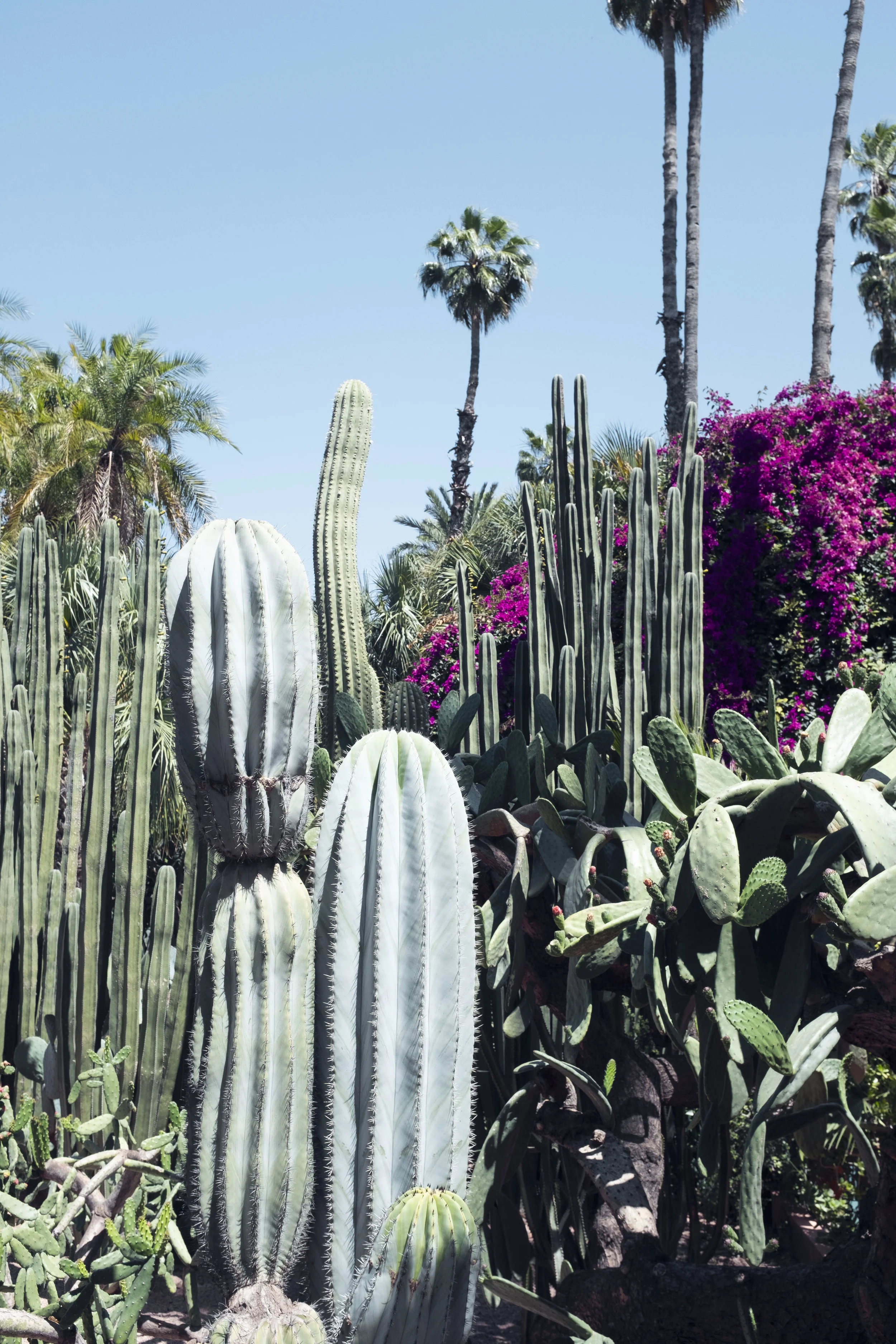 morocco_lillymoerz_01.jpg
