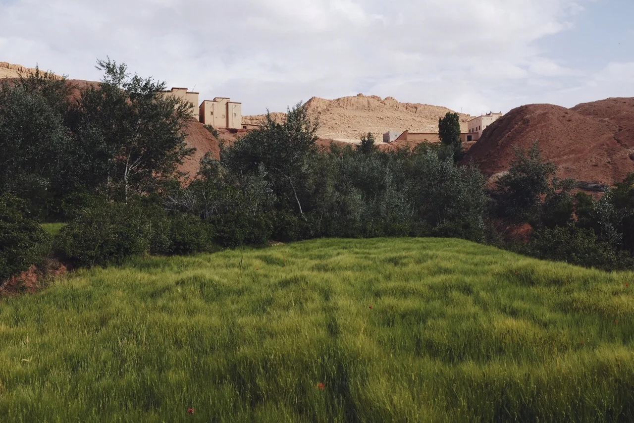 morocco_lillymoerz_07.JPG