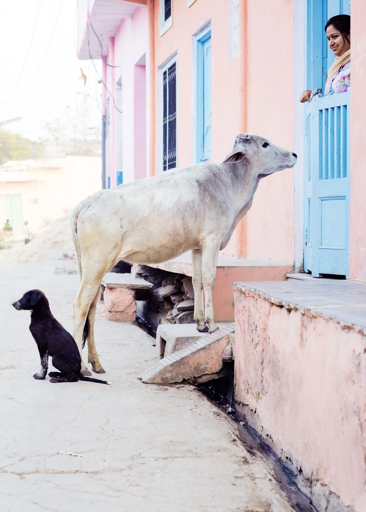 rajasthan_lillymoerz_05.jpg