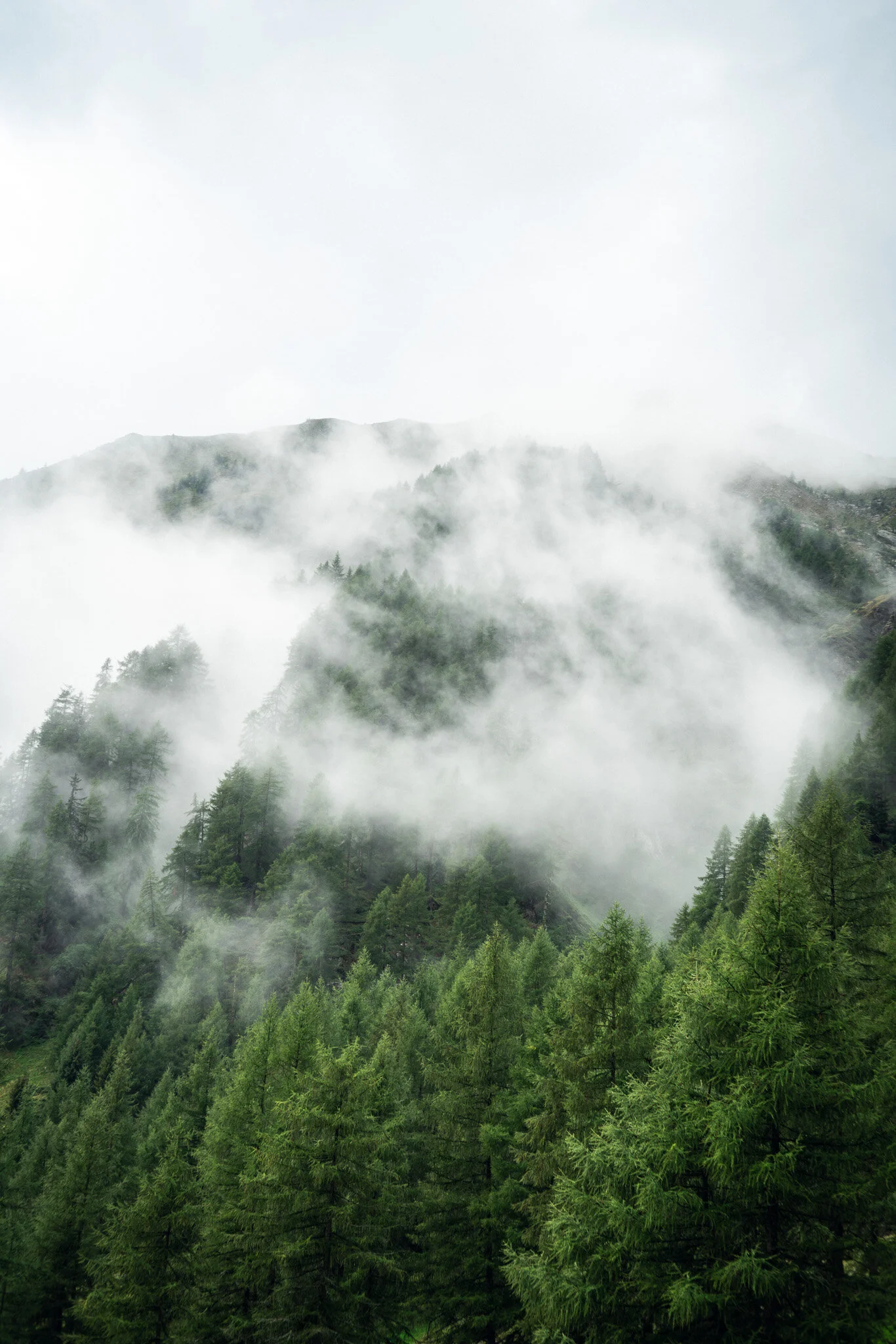 _DSC7837.jpg