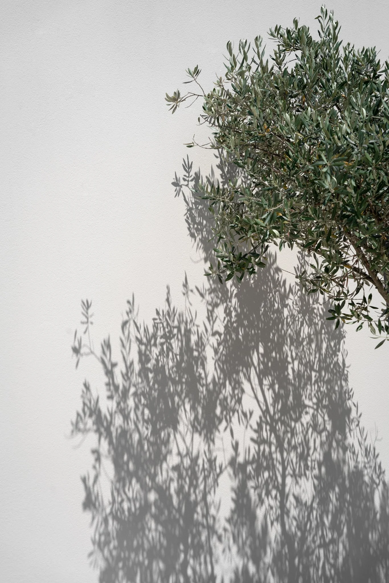 DSC04783-Edit.jpg