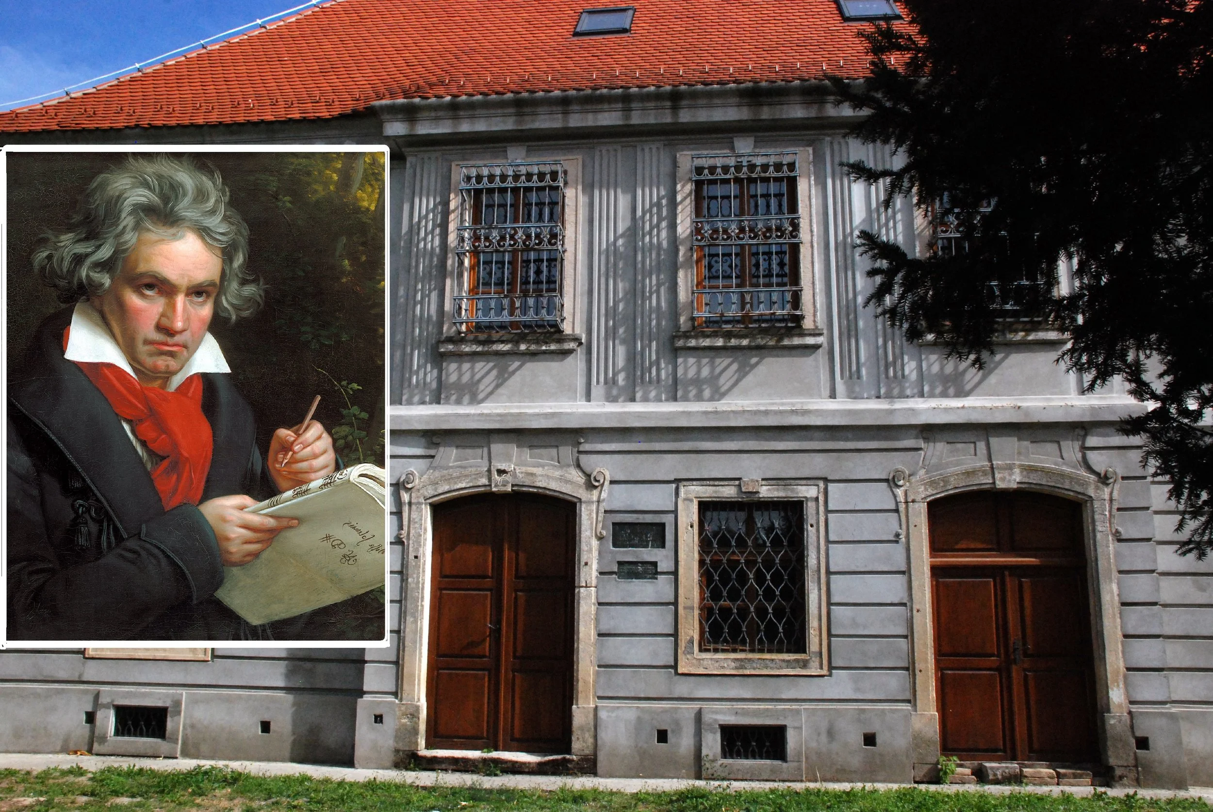 BETOVENOVA LJUBAV IZ SREMA: Voleli su se od detinjstva i mogli sve - osim da budu zajedno