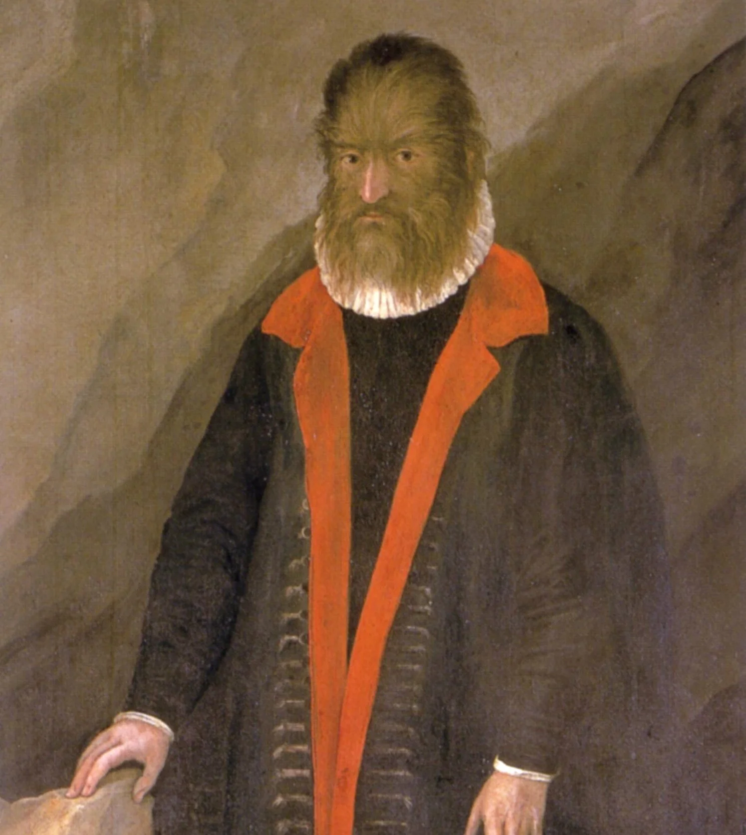 Petrus Gonsalvus, nepoznati autor